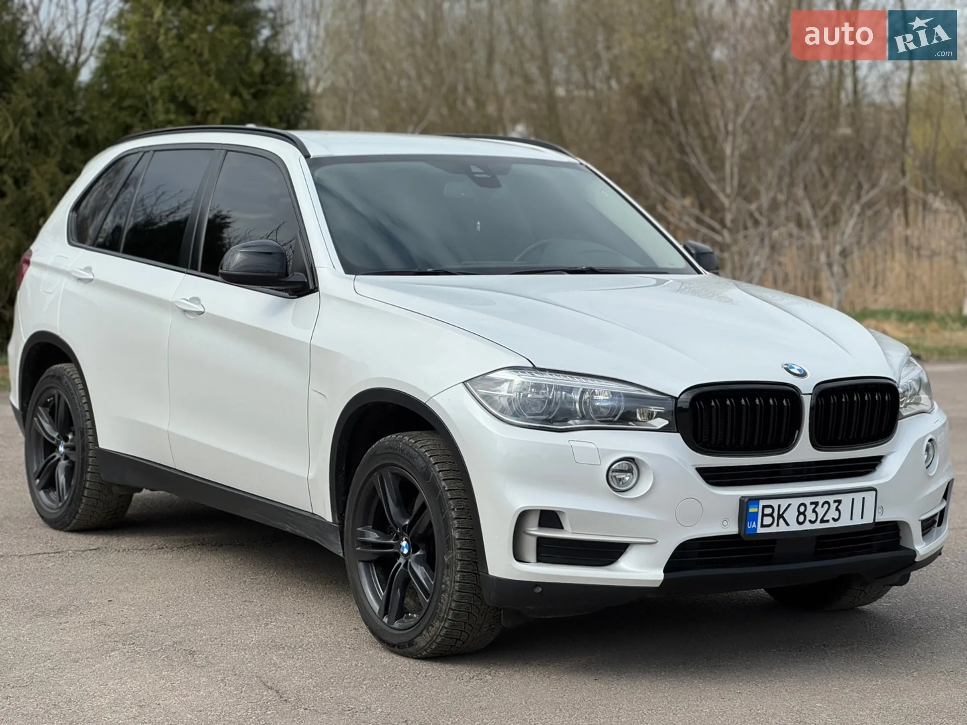 2013 BMW X5 - мініатюра 2