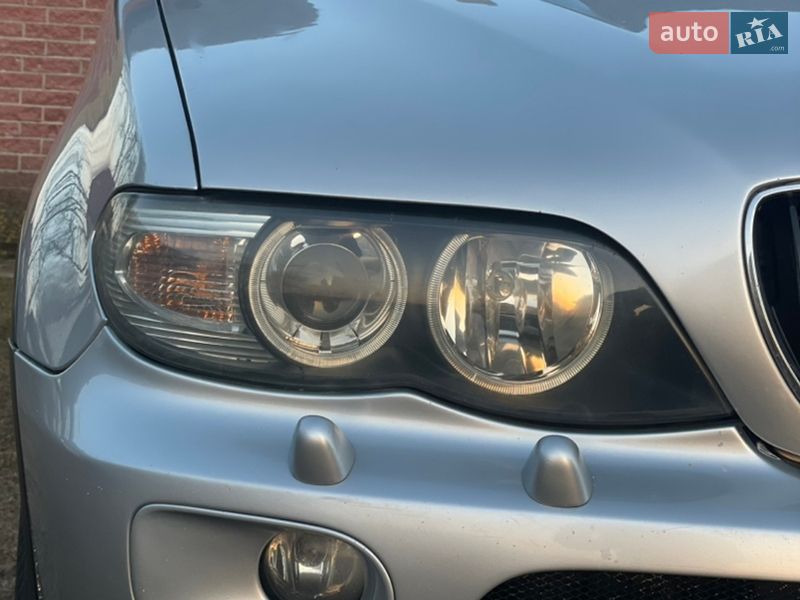 Позашляховик / Кросовер BMW X5 2004 в Березному