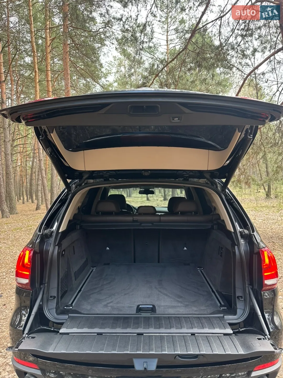 2014 BMW X5 - мініатюра 33