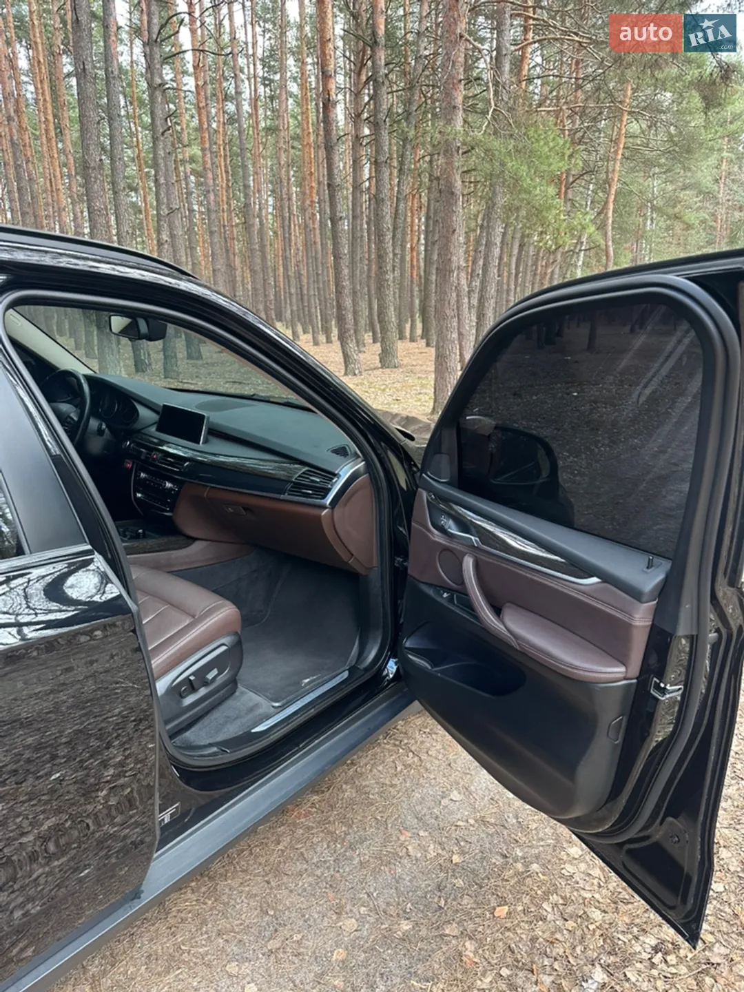2014 BMW X5 - мініатюра 37