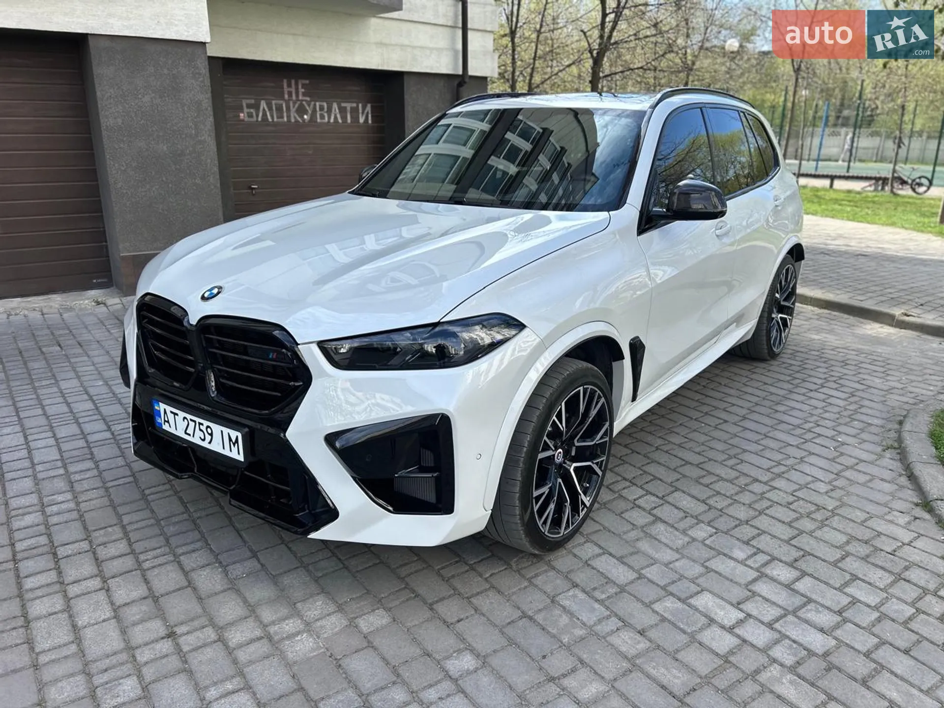 2019 BMW X5 - мініатюра 5