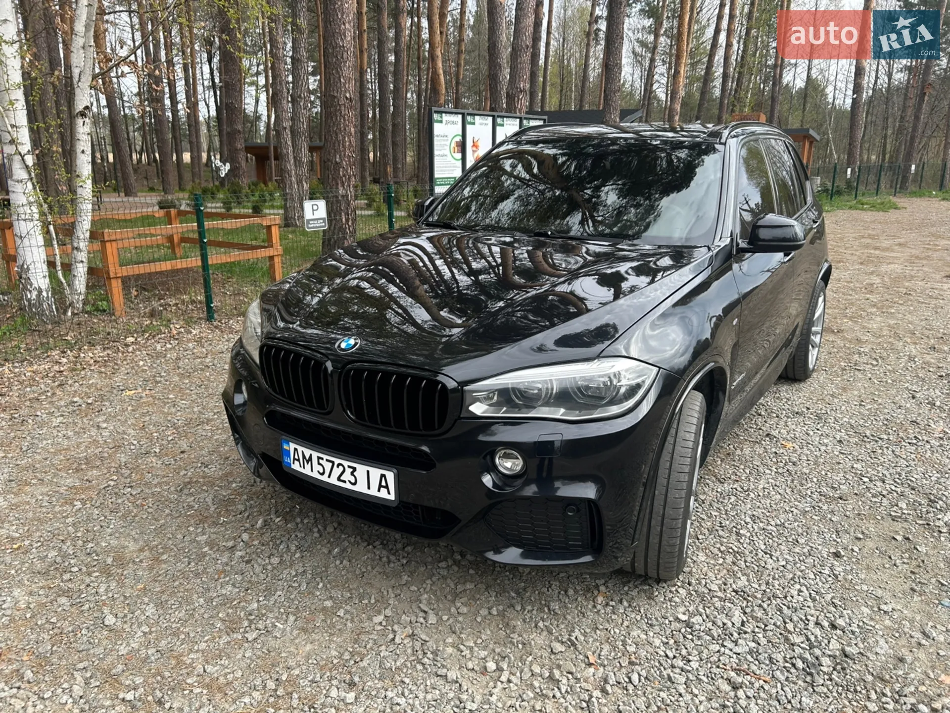 2015 BMW X5 - мініатюра 3