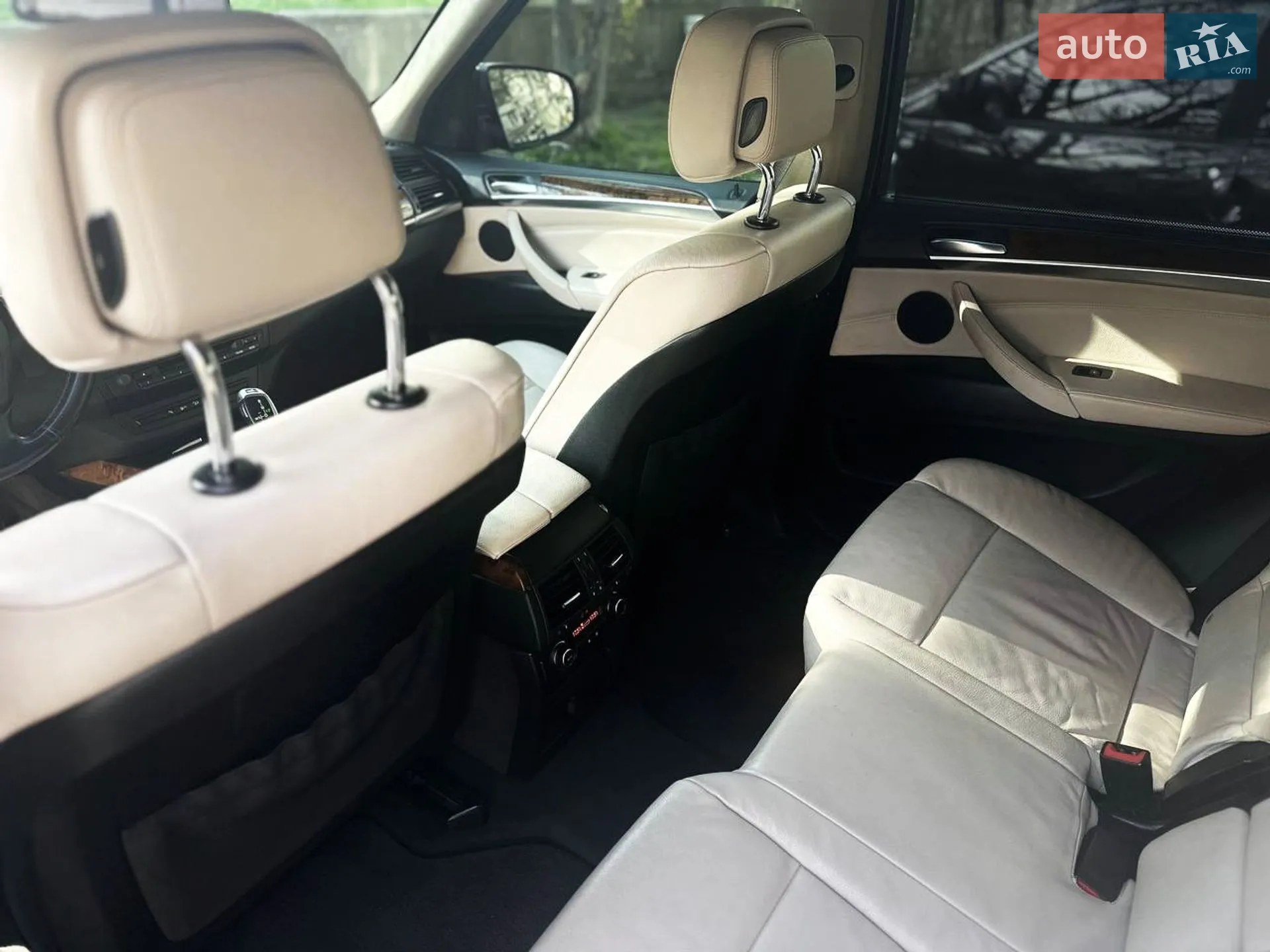 2010 BMW X5 - мініатюра 31
