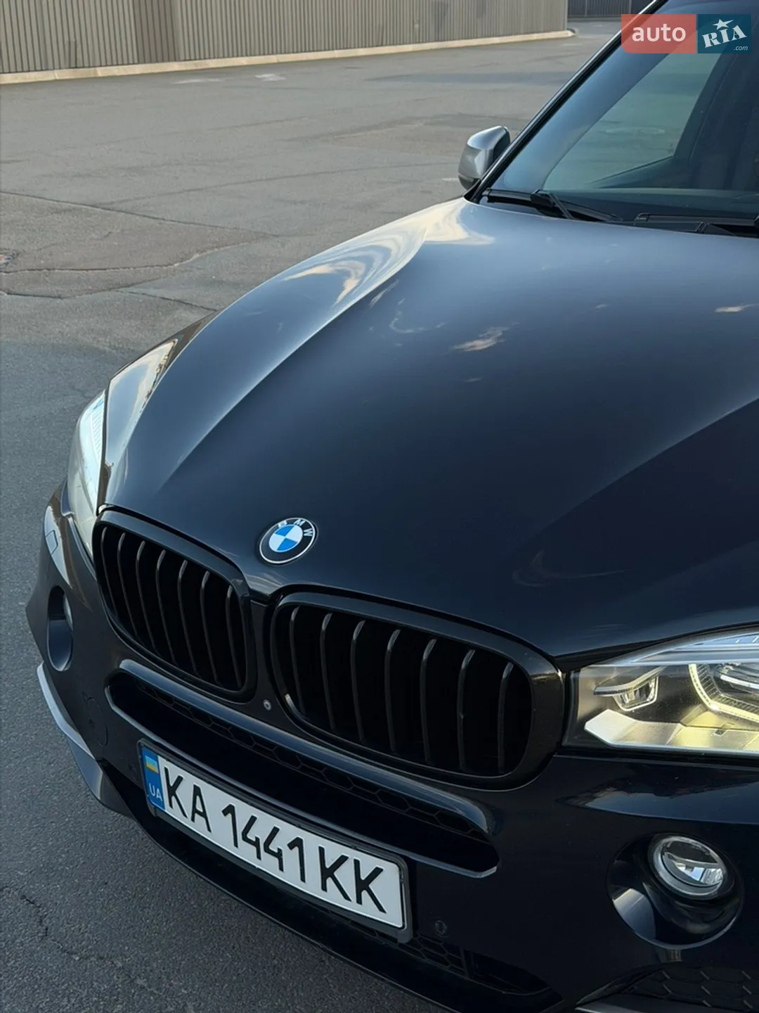 2014 BMW X5 - мініатюра 3