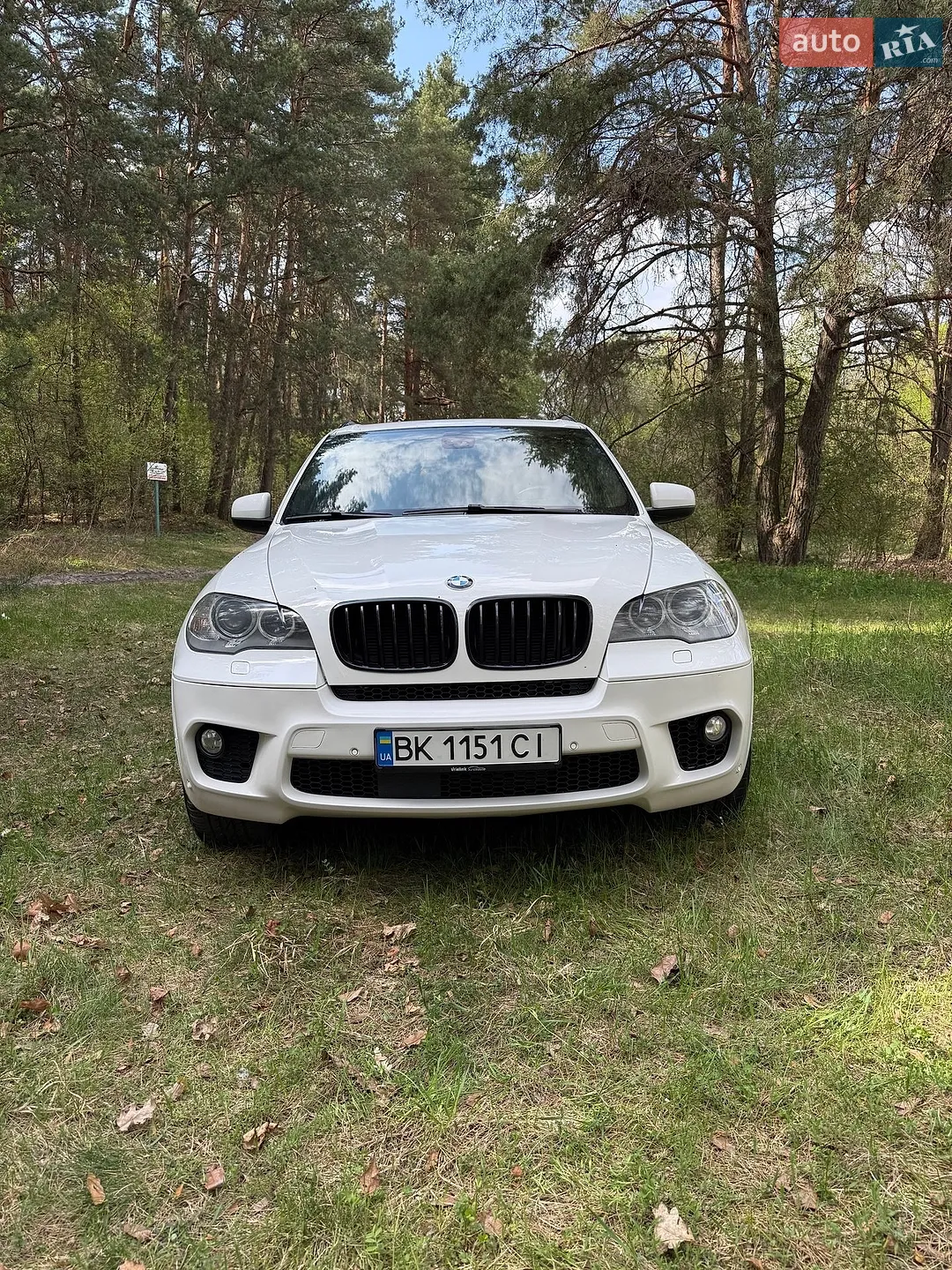 2011 BMW X5 - мініатюра 4