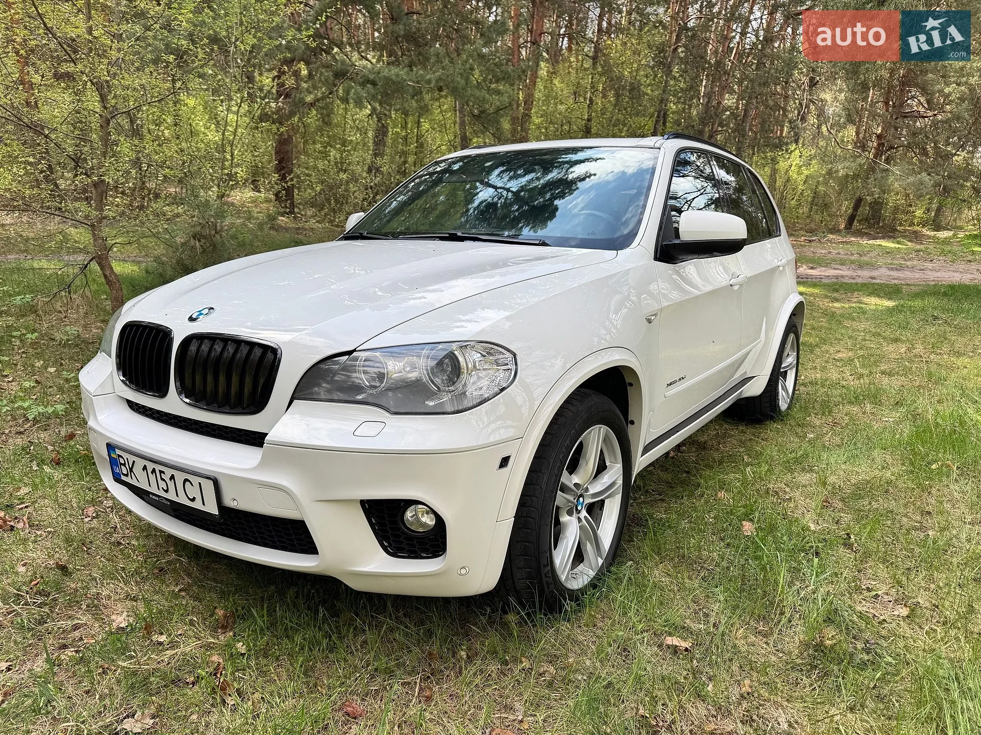 2011 BMW X5 - фото 1