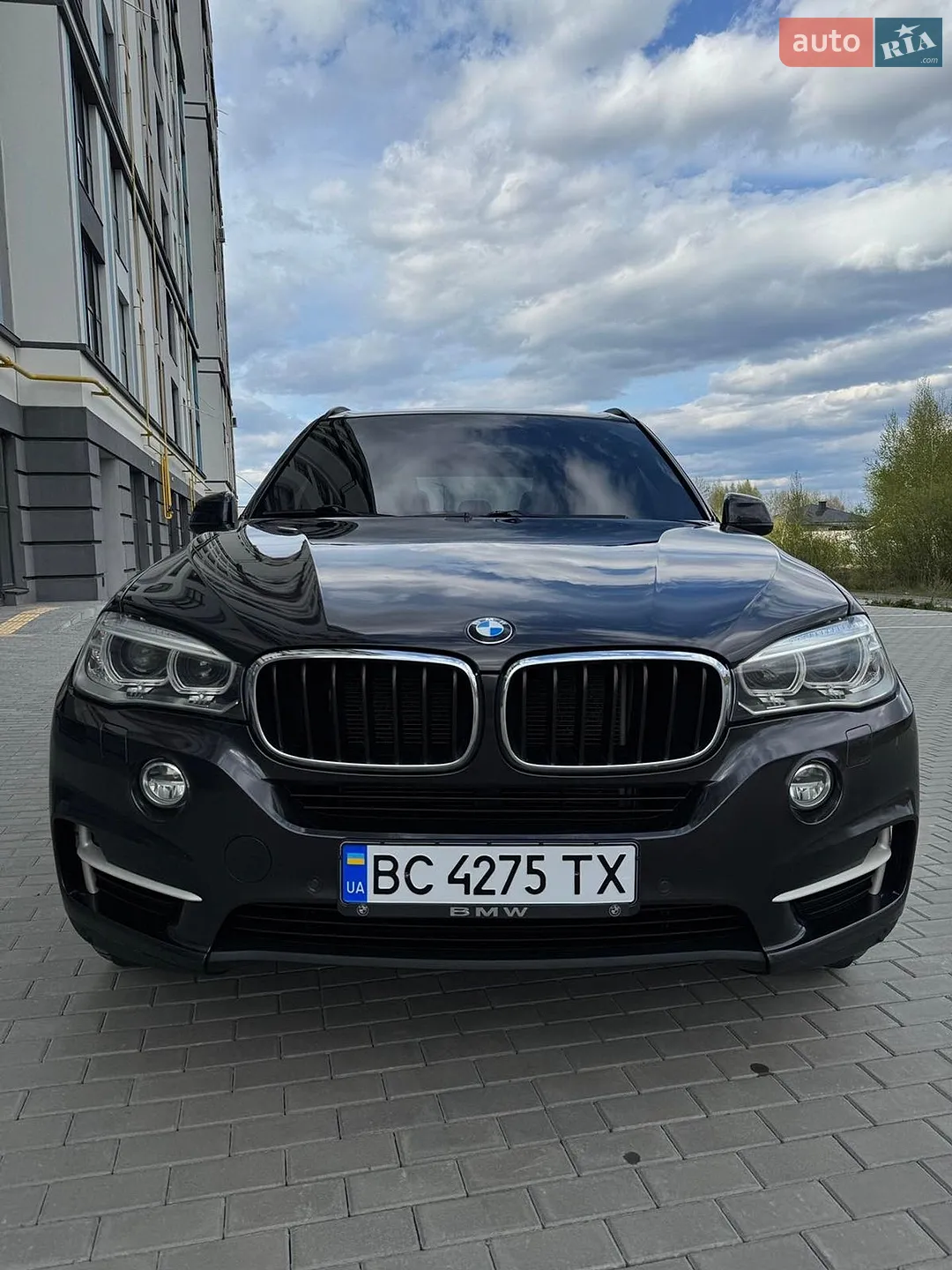 2014 BMW X5 - мініатюра 3