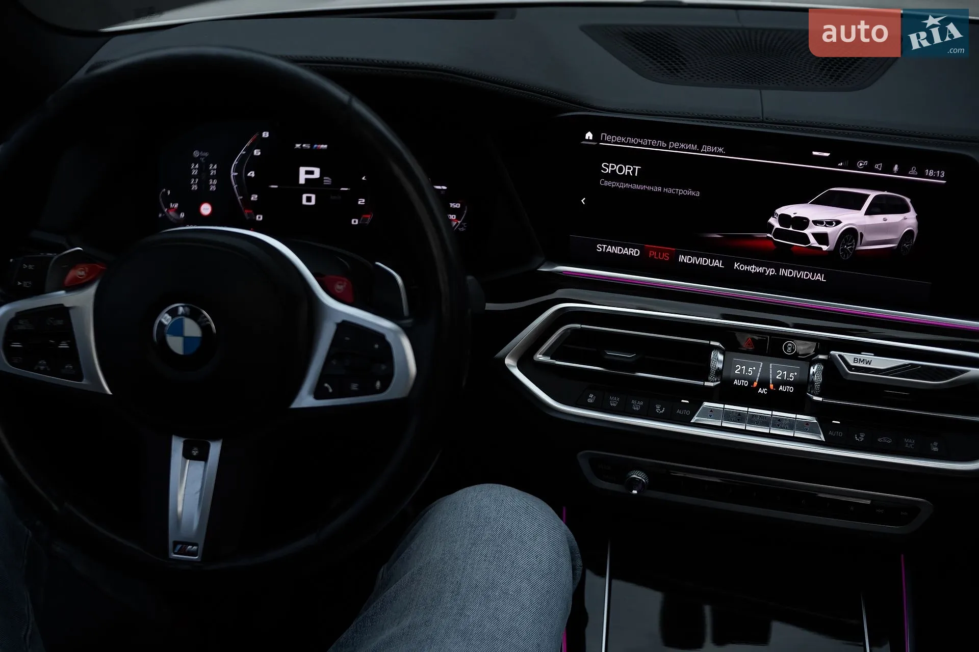 2019 BMW X5 - мініатюра 52