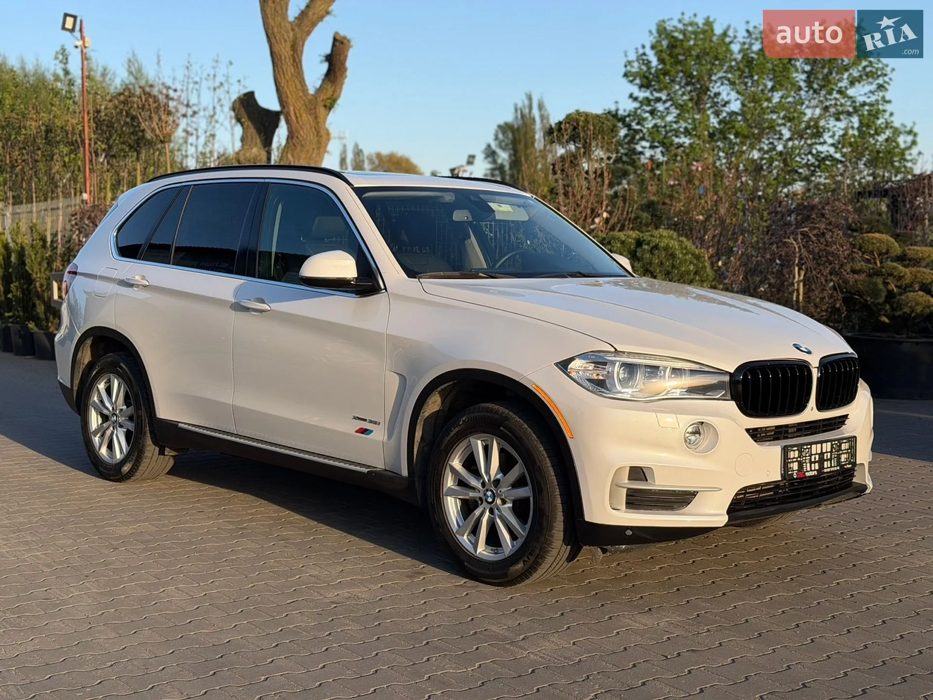 2015 BMW X5 - мініатюра 2