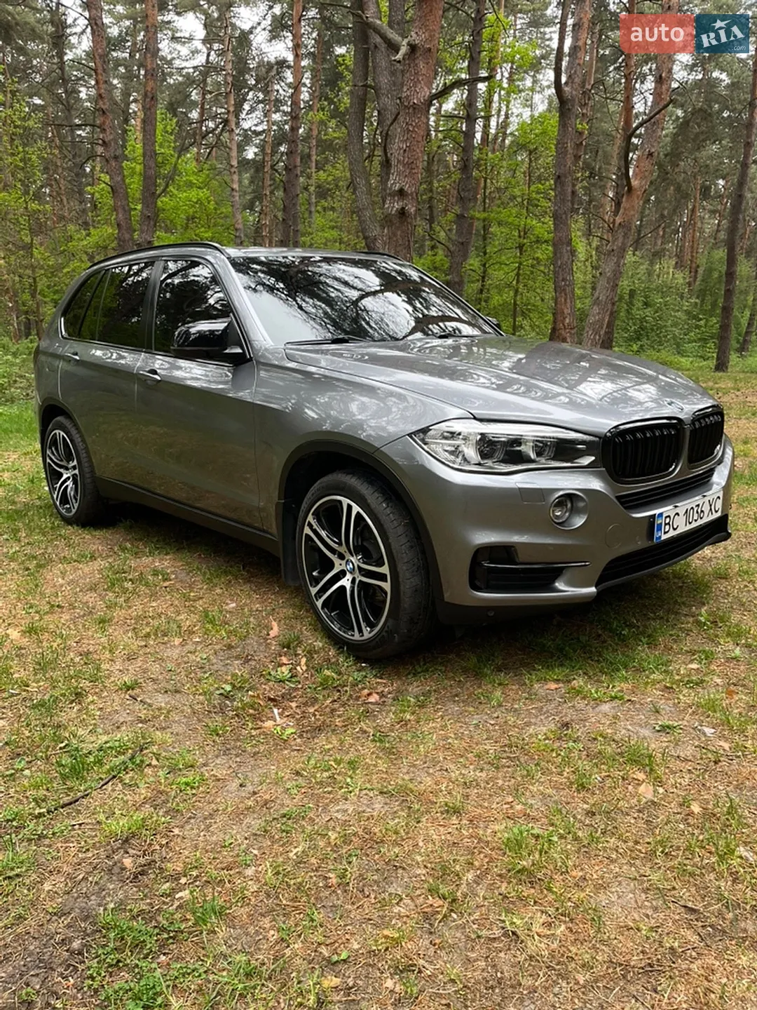 2014 BMW X5 - мініатюра 2