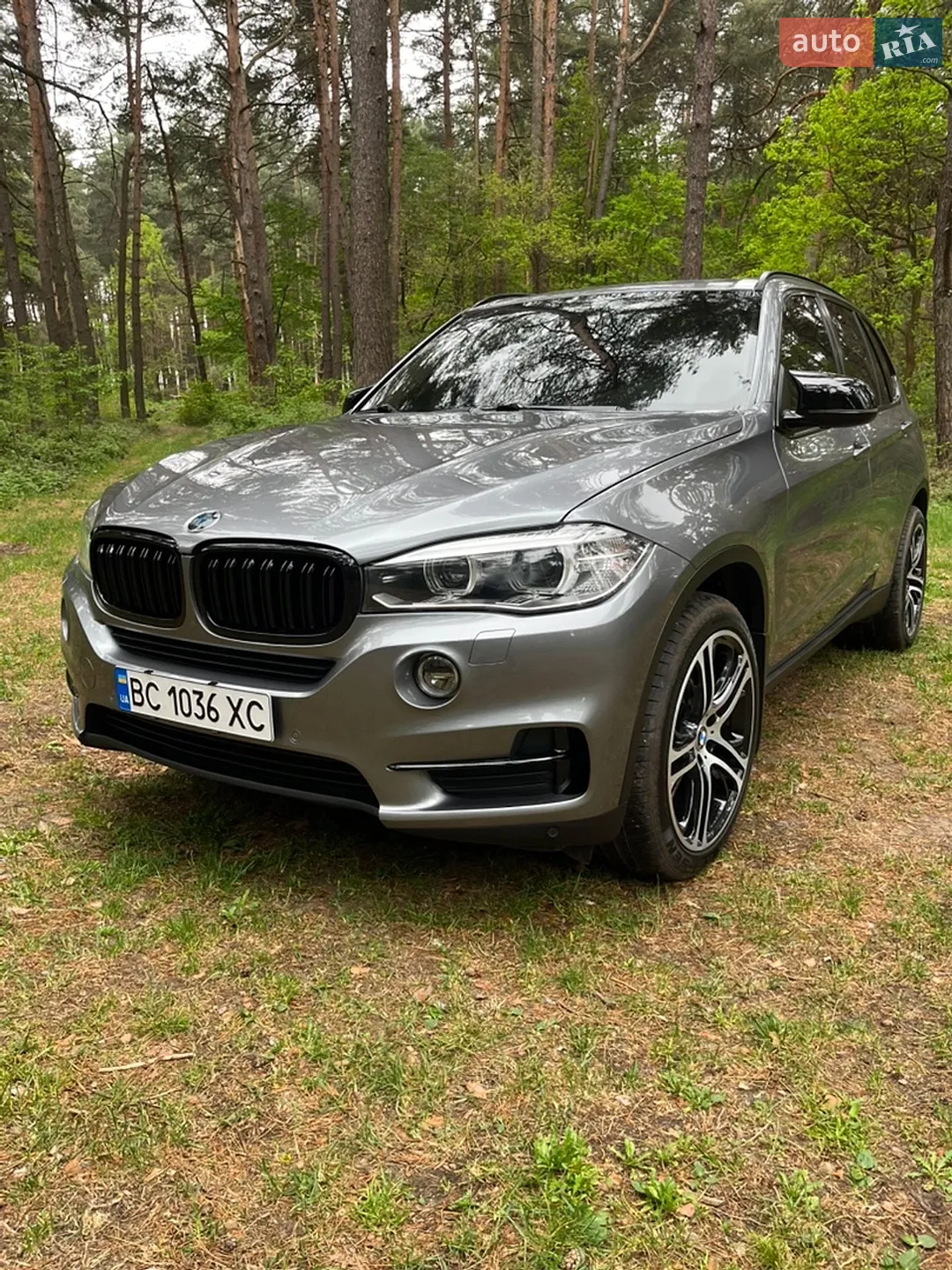 2014 BMW X5 - мініатюра 3