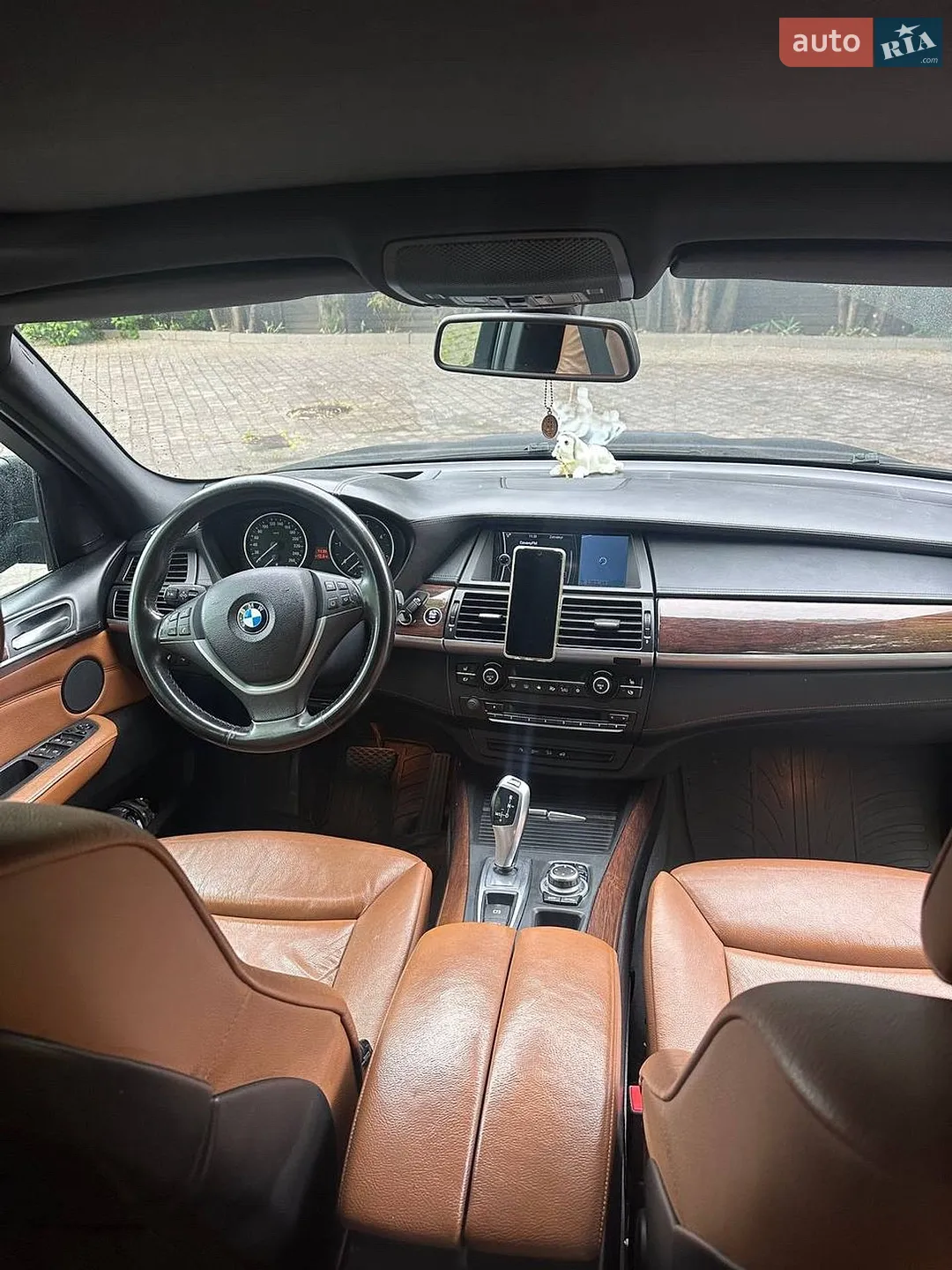 2010 BMW X5 - мініатюра 9