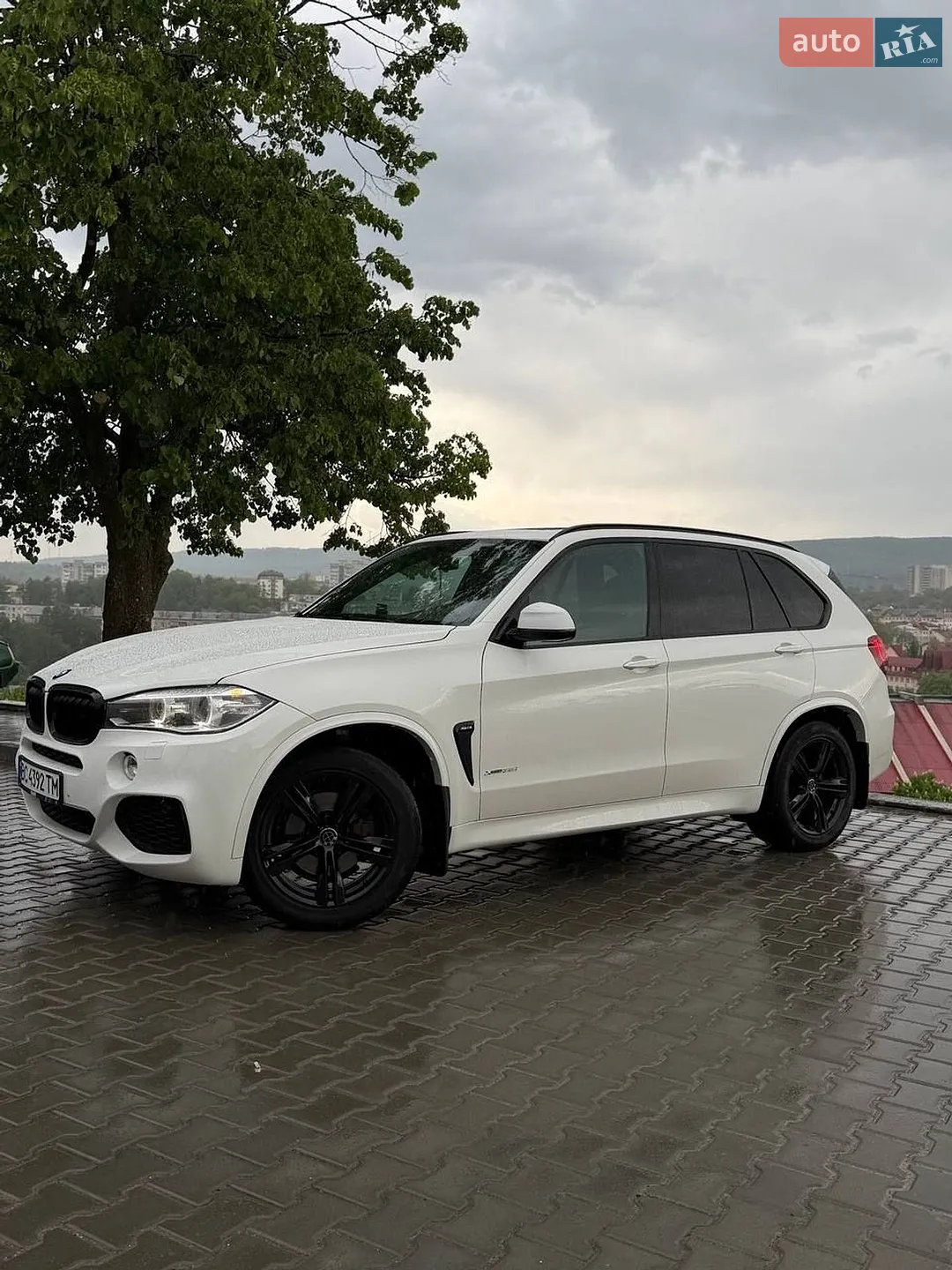 2015 BMW X5 - мініатюра 5