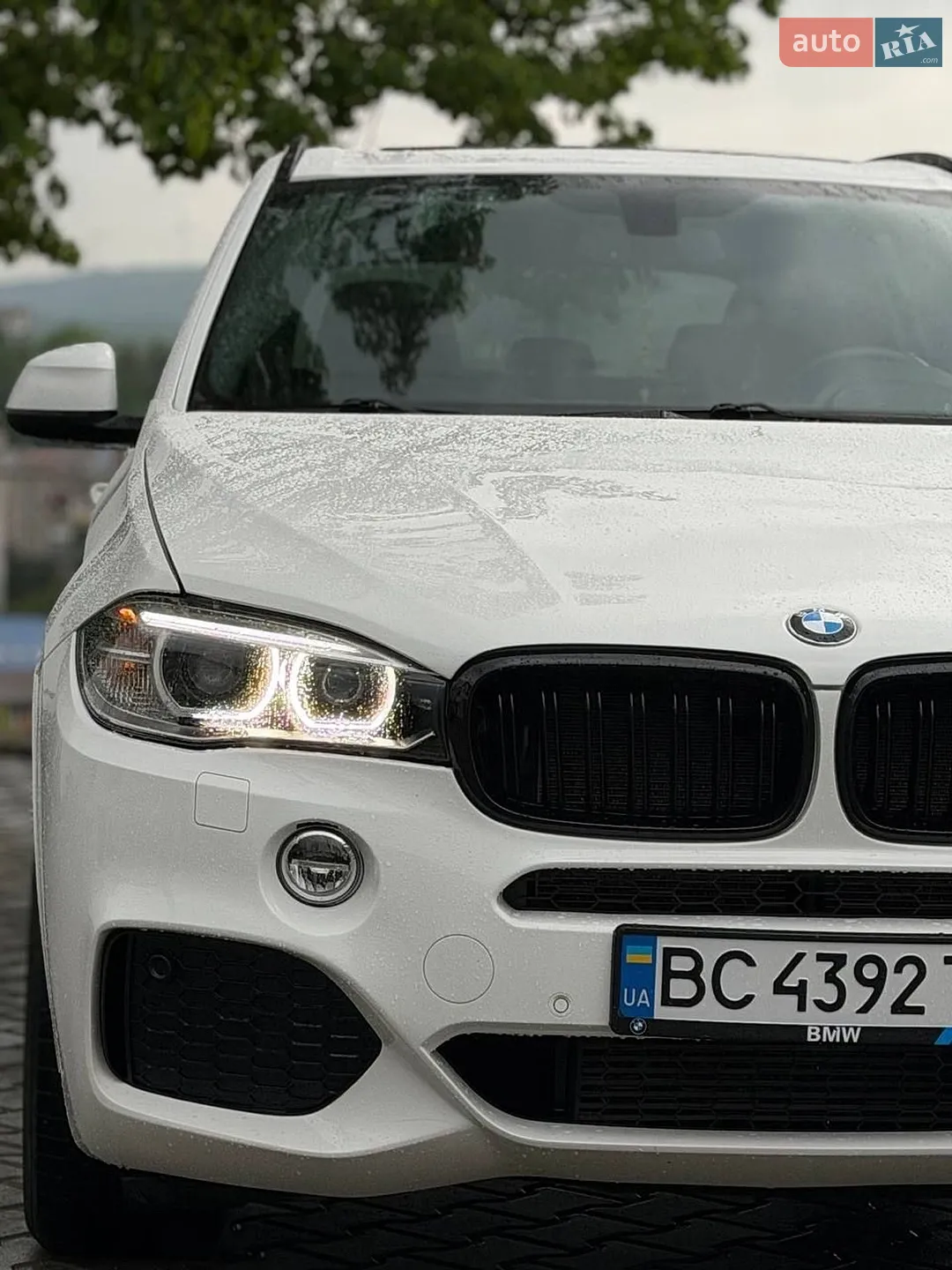 2015 BMW X5 - мініатюра 12
