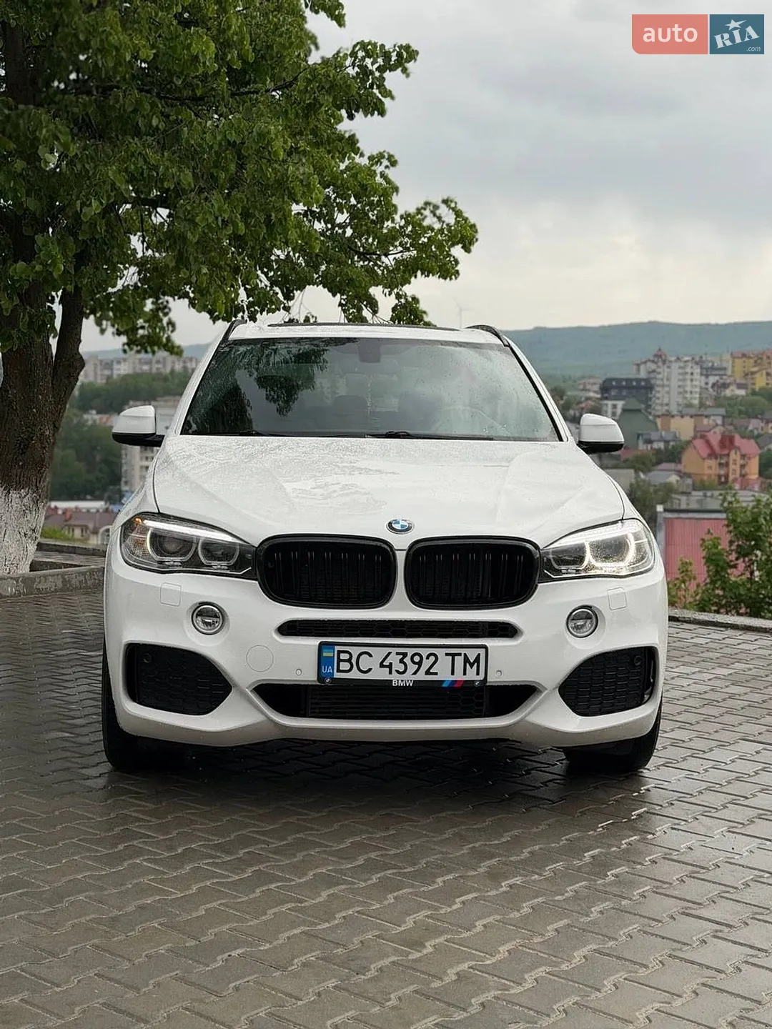 2015 BMW X5 - мініатюра 13