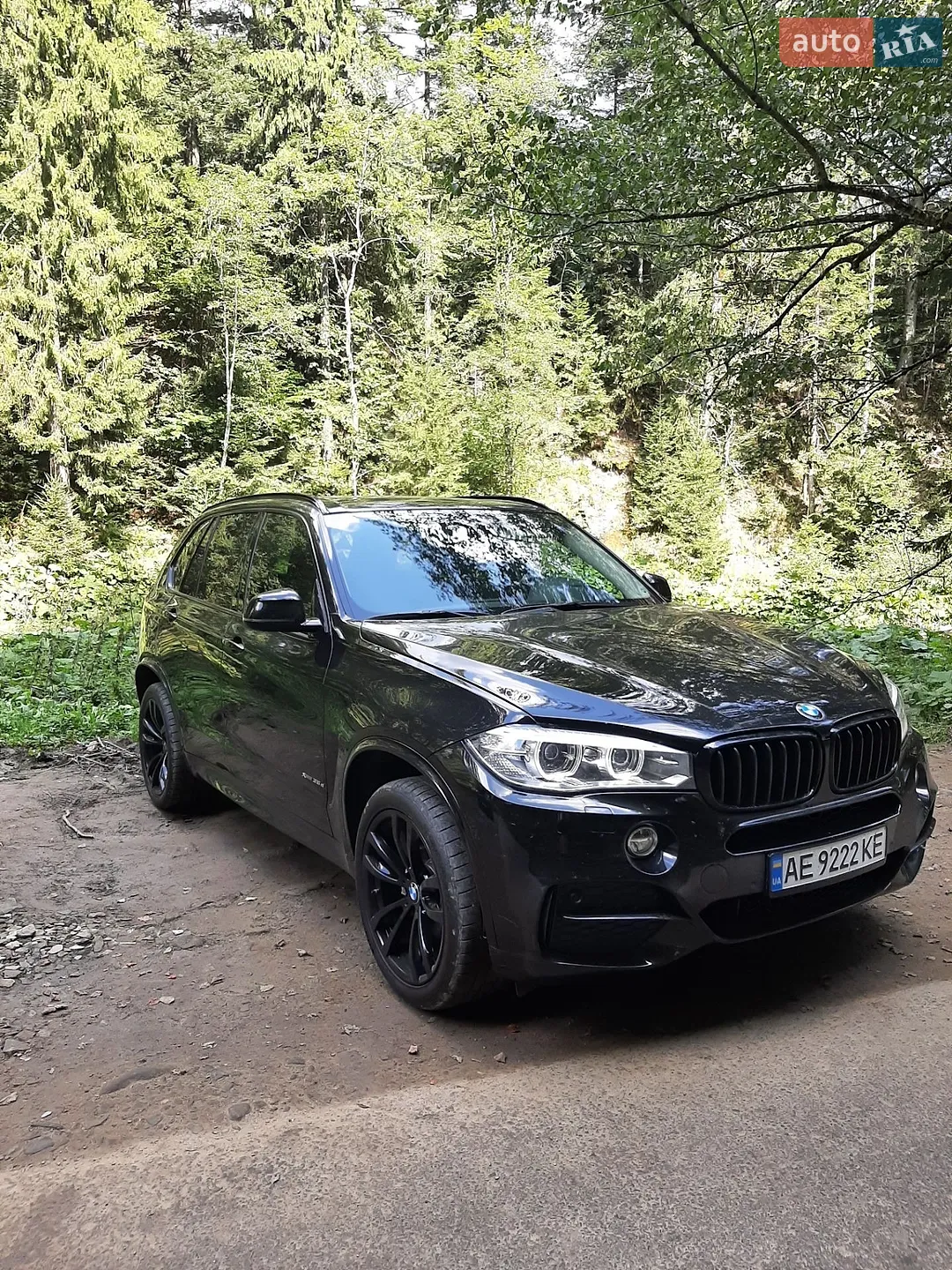 2015 BMW X5 - мініатюра 6