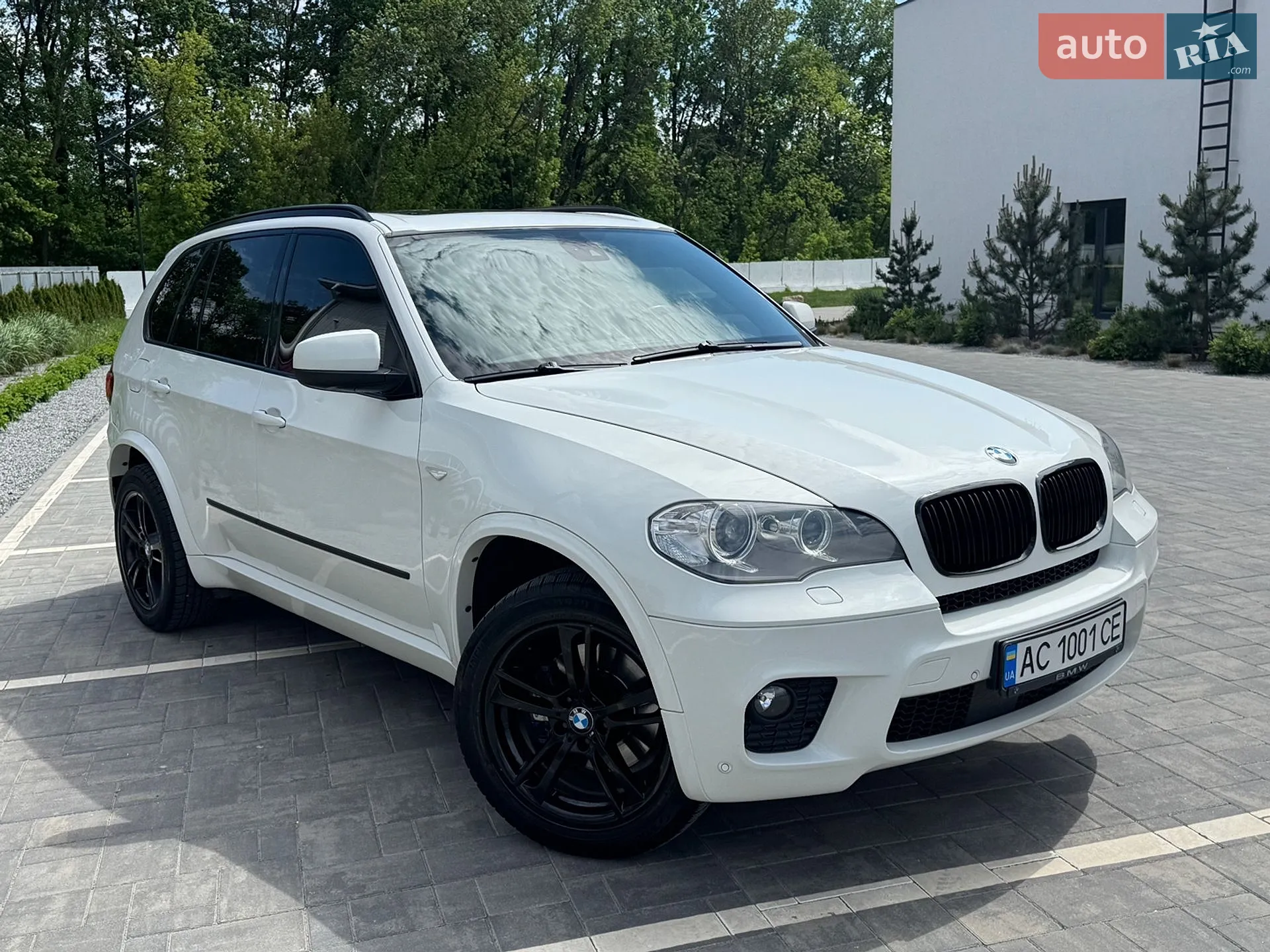 2010 BMW X5 - фото 1