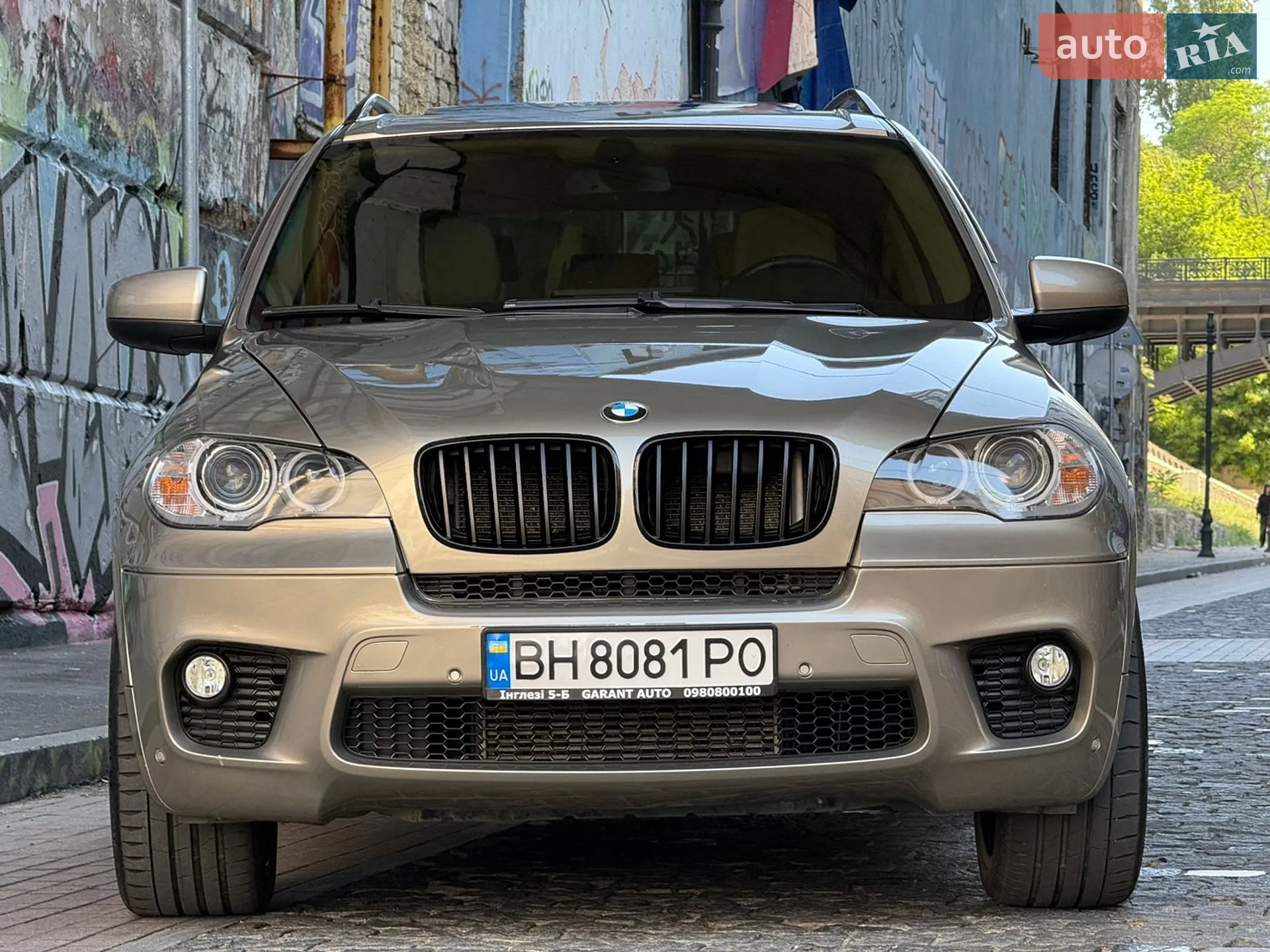 2010 BMW X5 - мініатюра 2