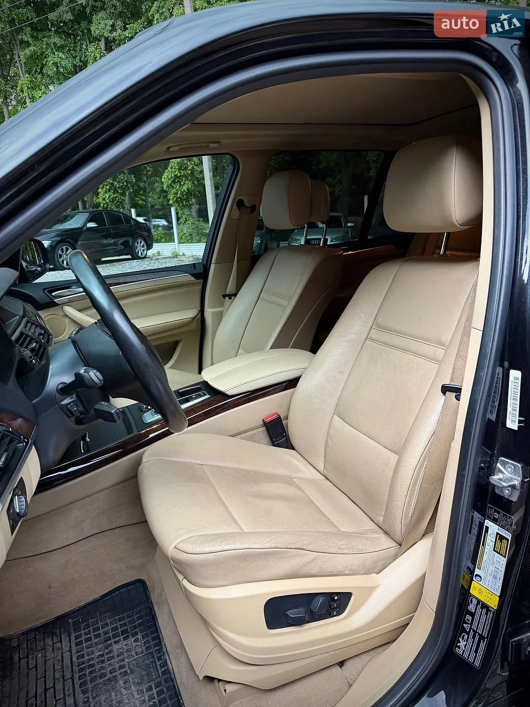 2010 BMW X5 - мініатюра 9