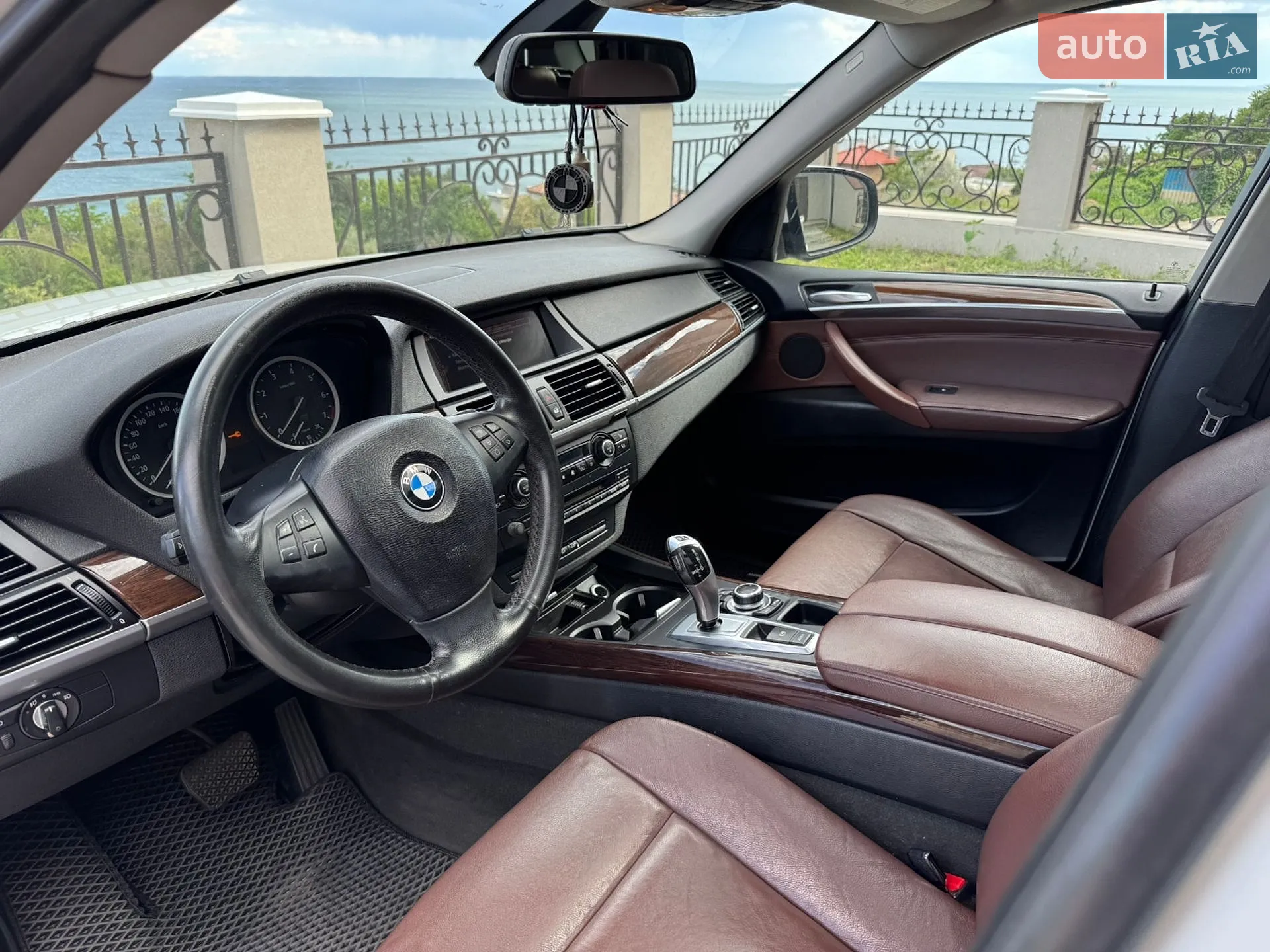 2010 BMW X5 - мініатюра 6