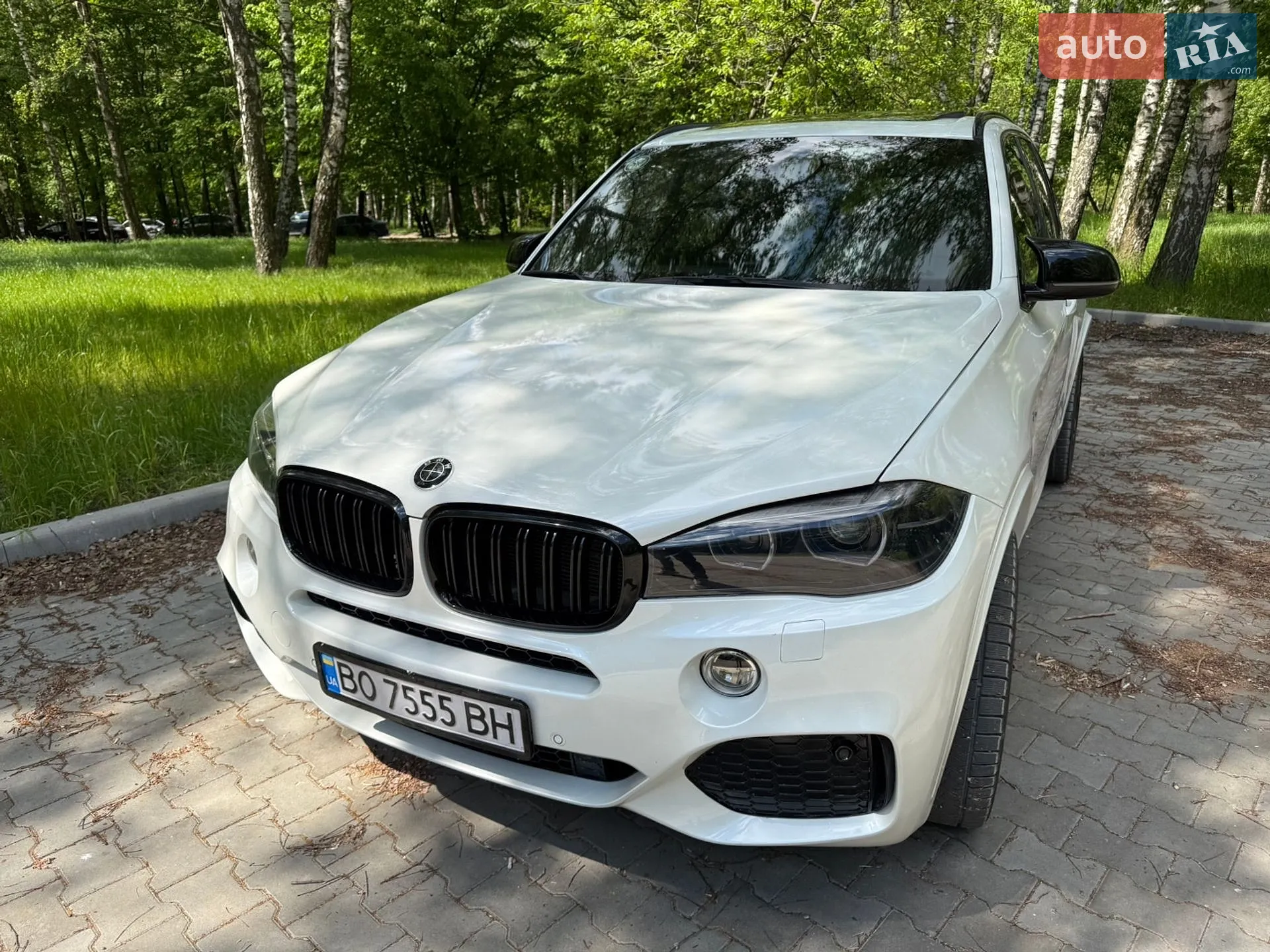 2013 BMW X5 - мініатюра 4