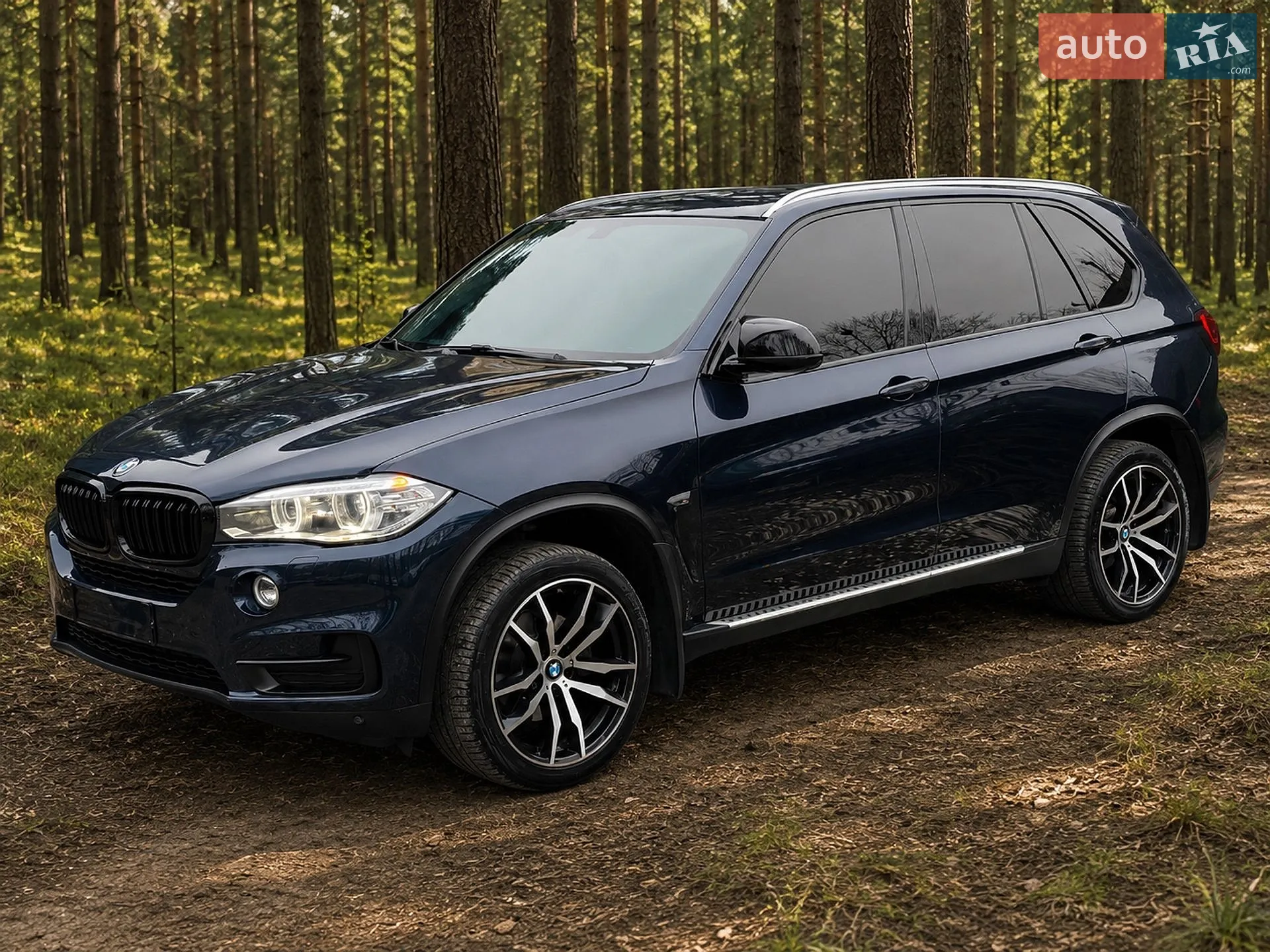 2014 BMW X5 - мініатюра 3