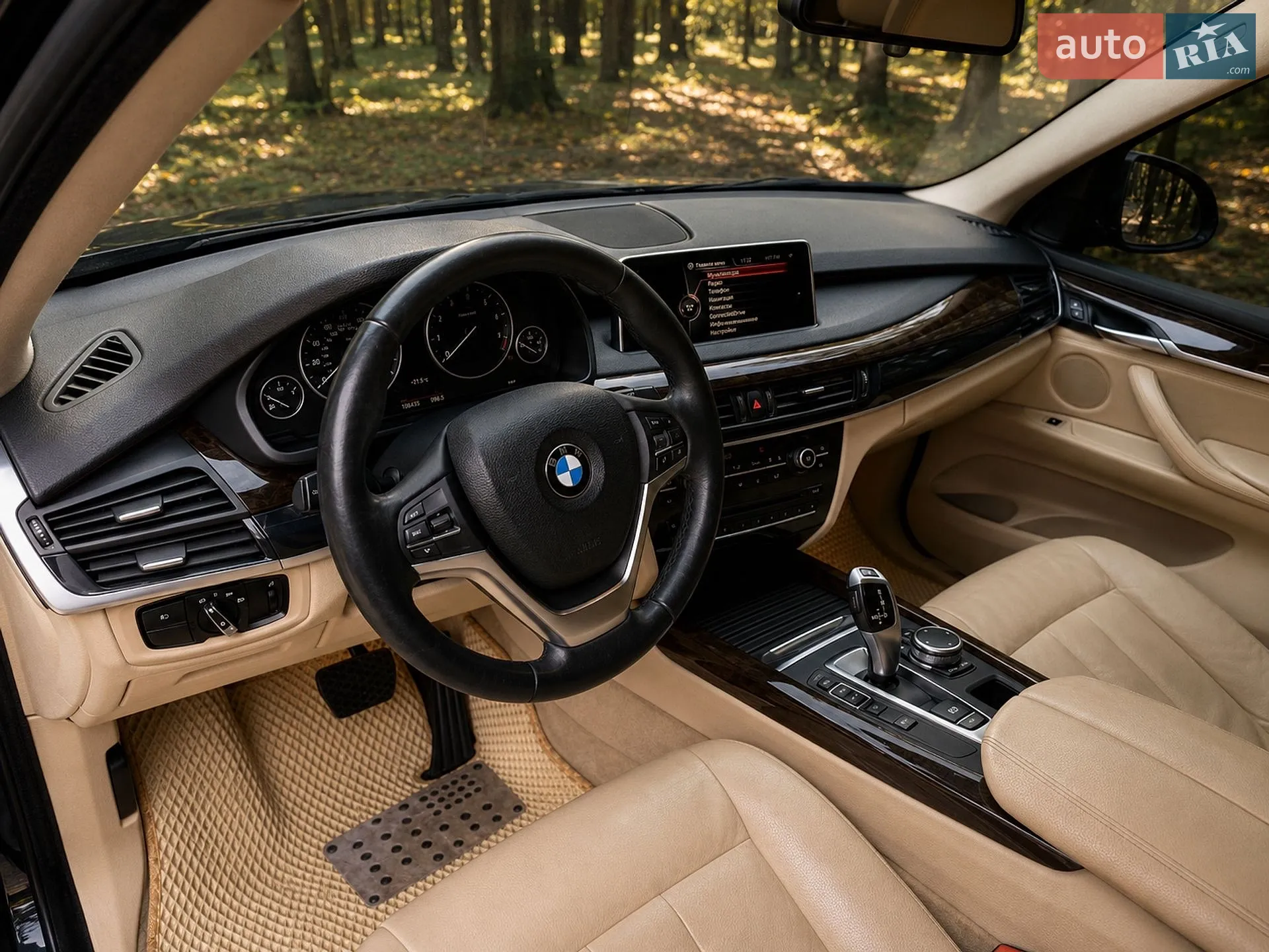 2014 BMW X5 - мініатюра 9