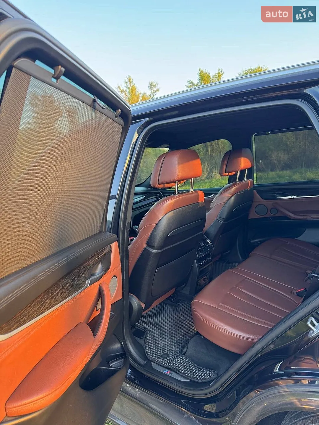 2013 BMW X5 - мініатюра 38