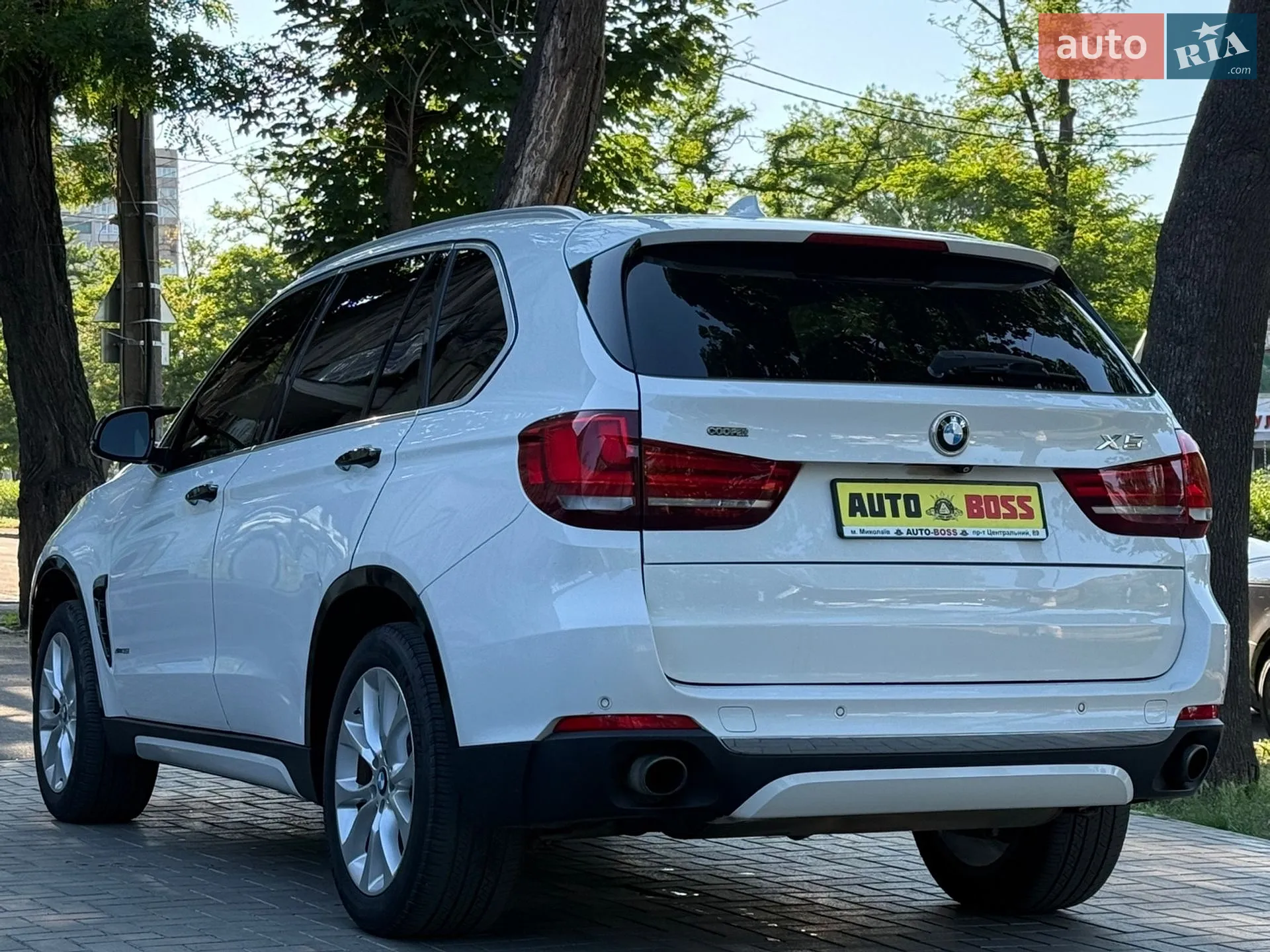 2013 BMW X5 - мініатюра 10