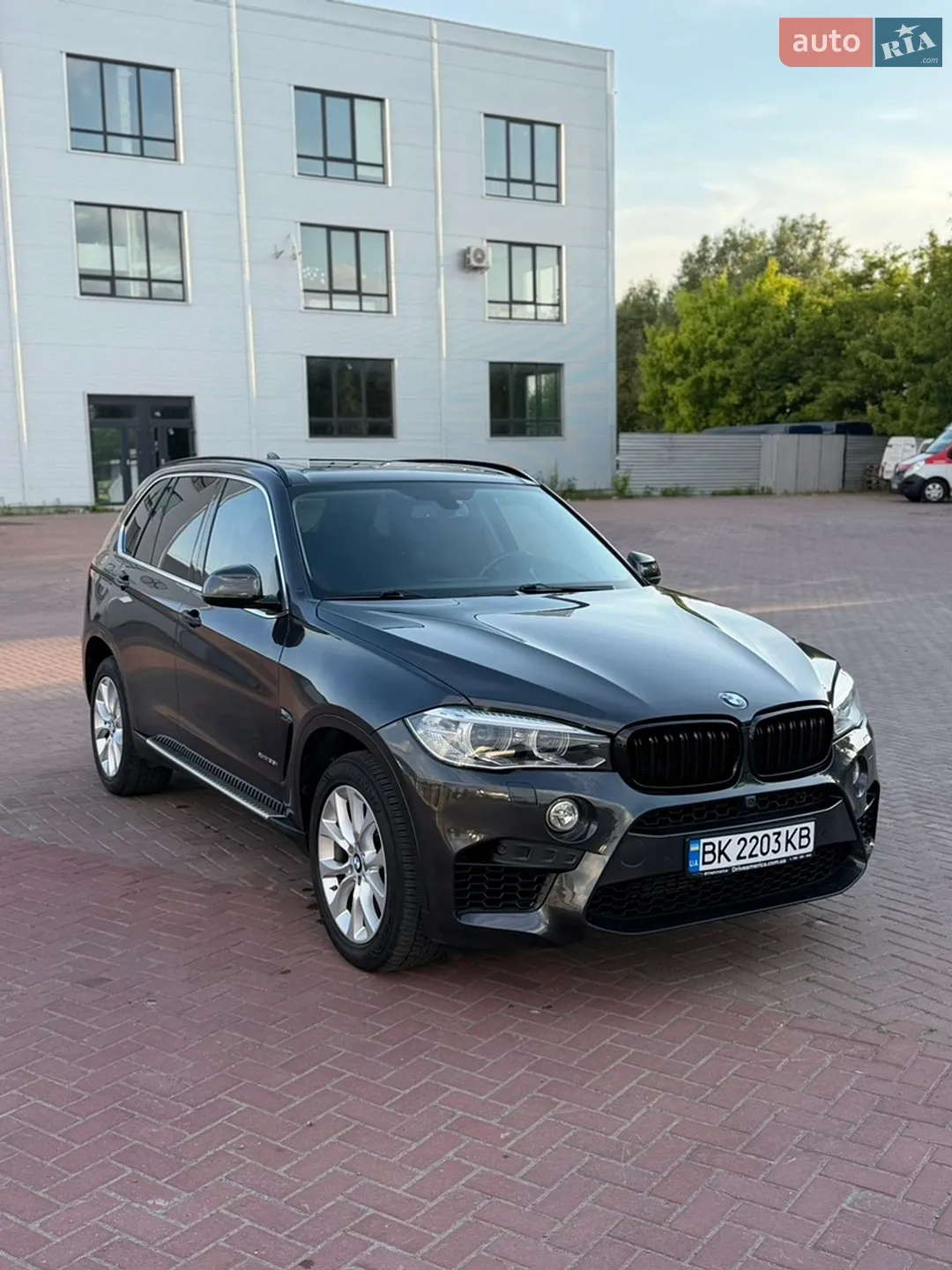 2014 BMW X5 - мініатюра 2