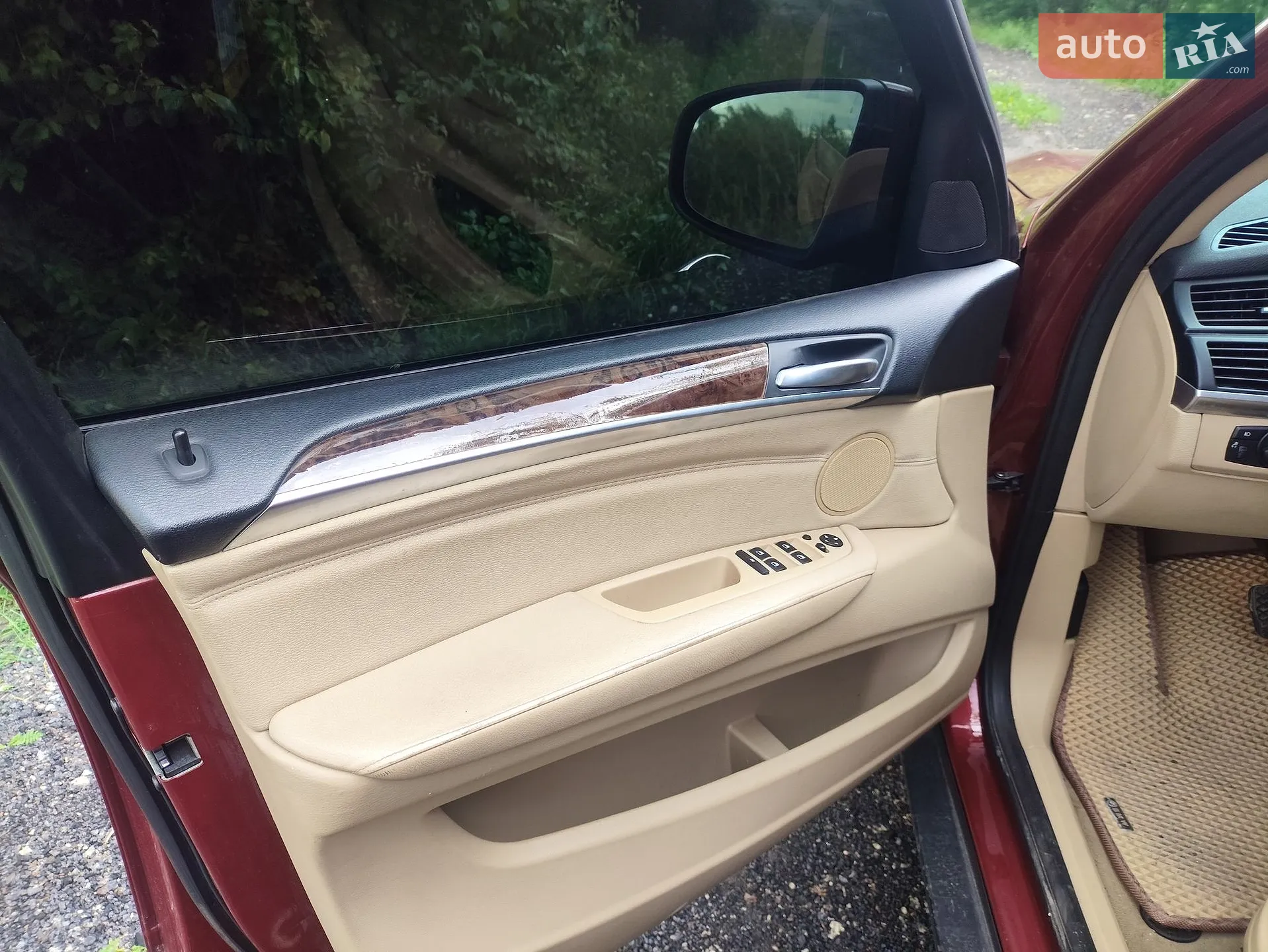 2010 BMW X5 - мініатюра 16