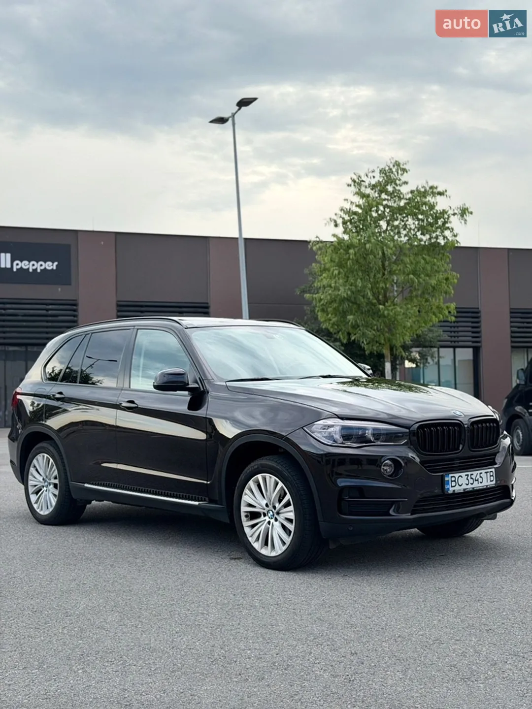 2013 BMW X5 - мініатюра 2