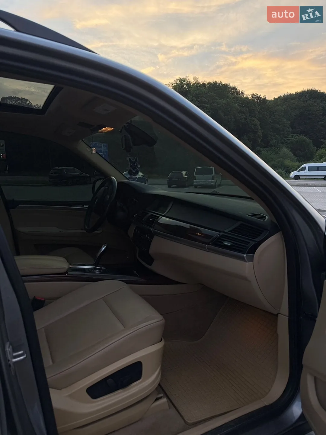 2010 BMW X5 - мініатюра 9