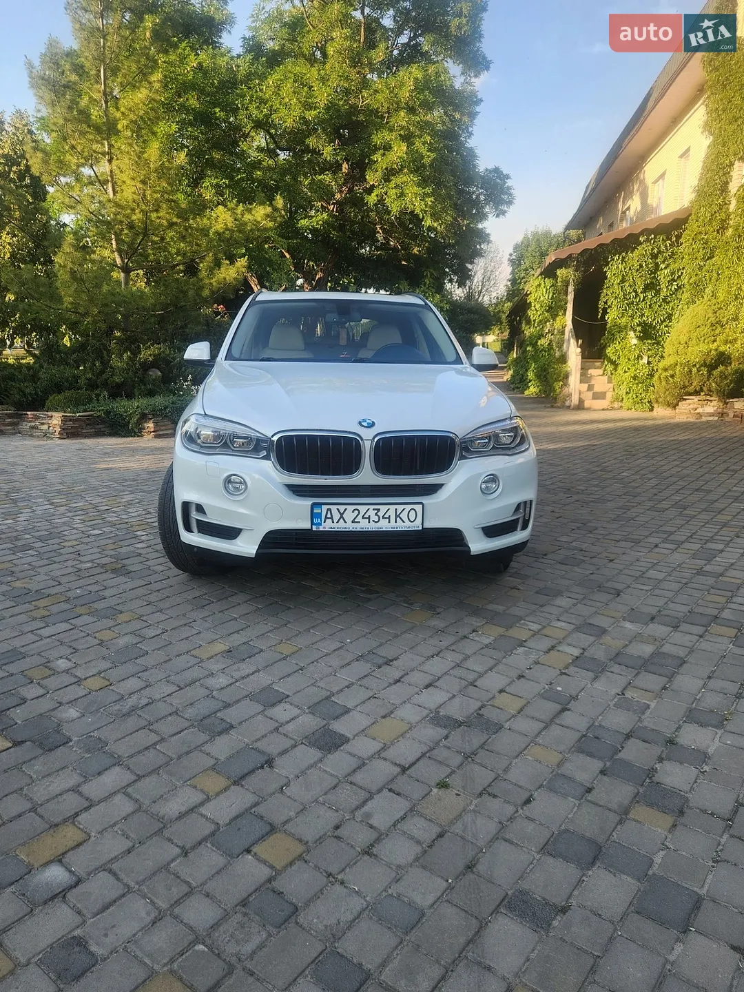 2013 BMW X5 - мініатюра 2