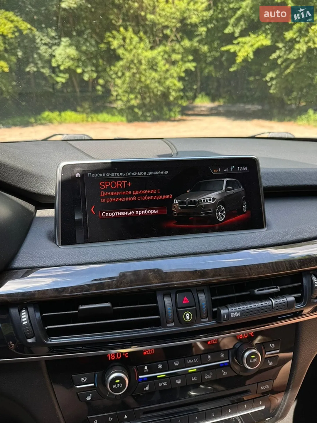 2018 BMW X5 - мініатюра 49