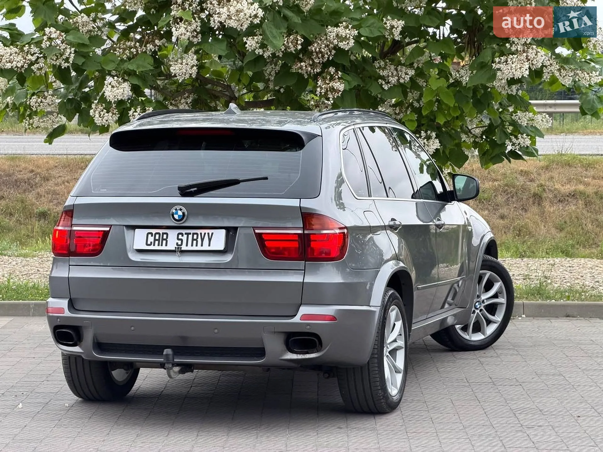 2010 BMW X5 - мініатюра 4