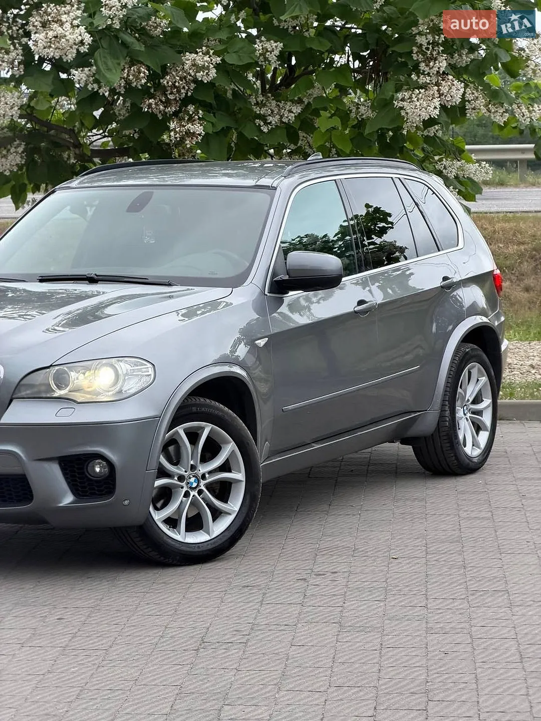 2010 BMW X5 - мініатюра 9
