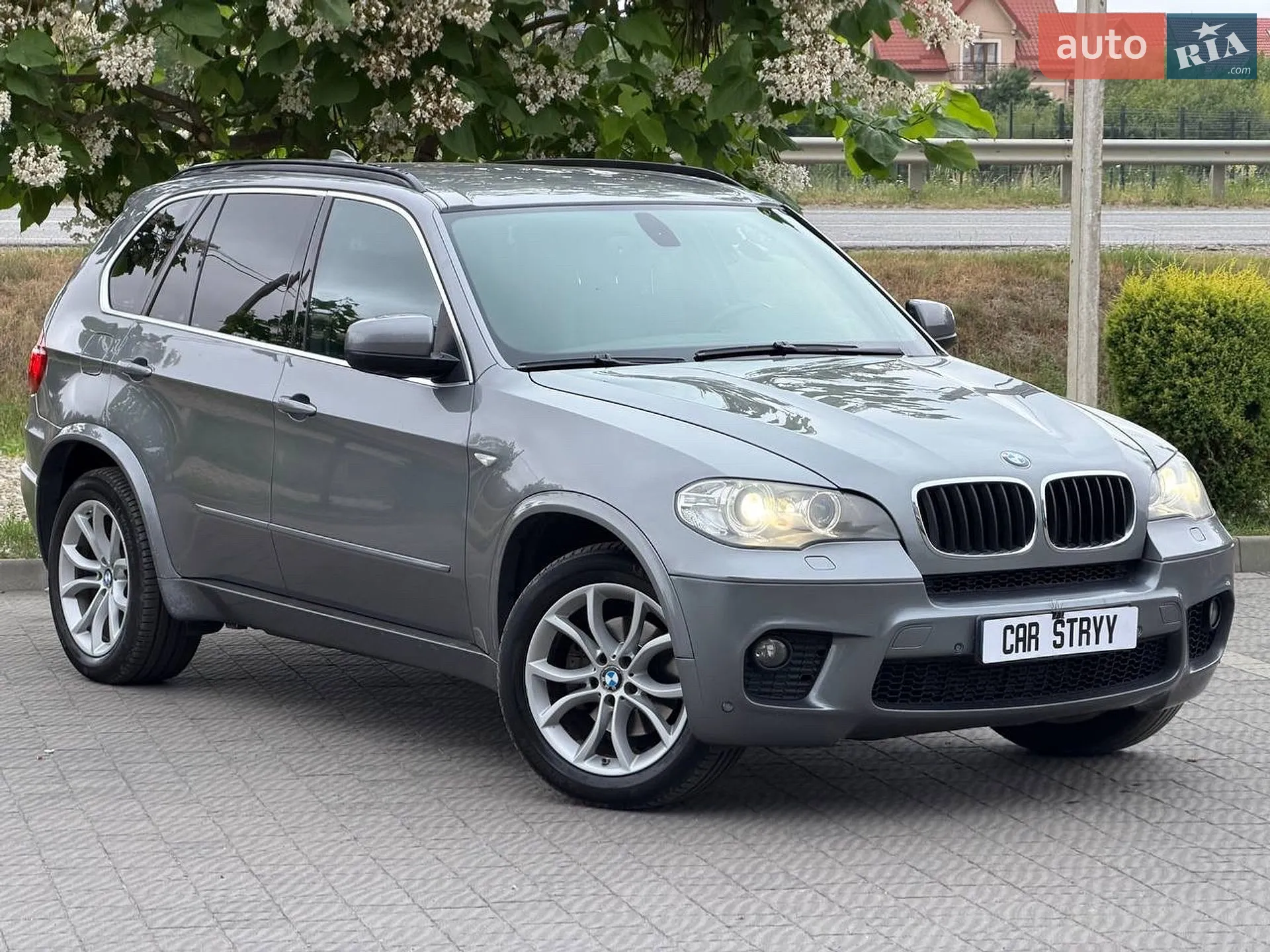 2010 BMW X5 - мініатюра 13