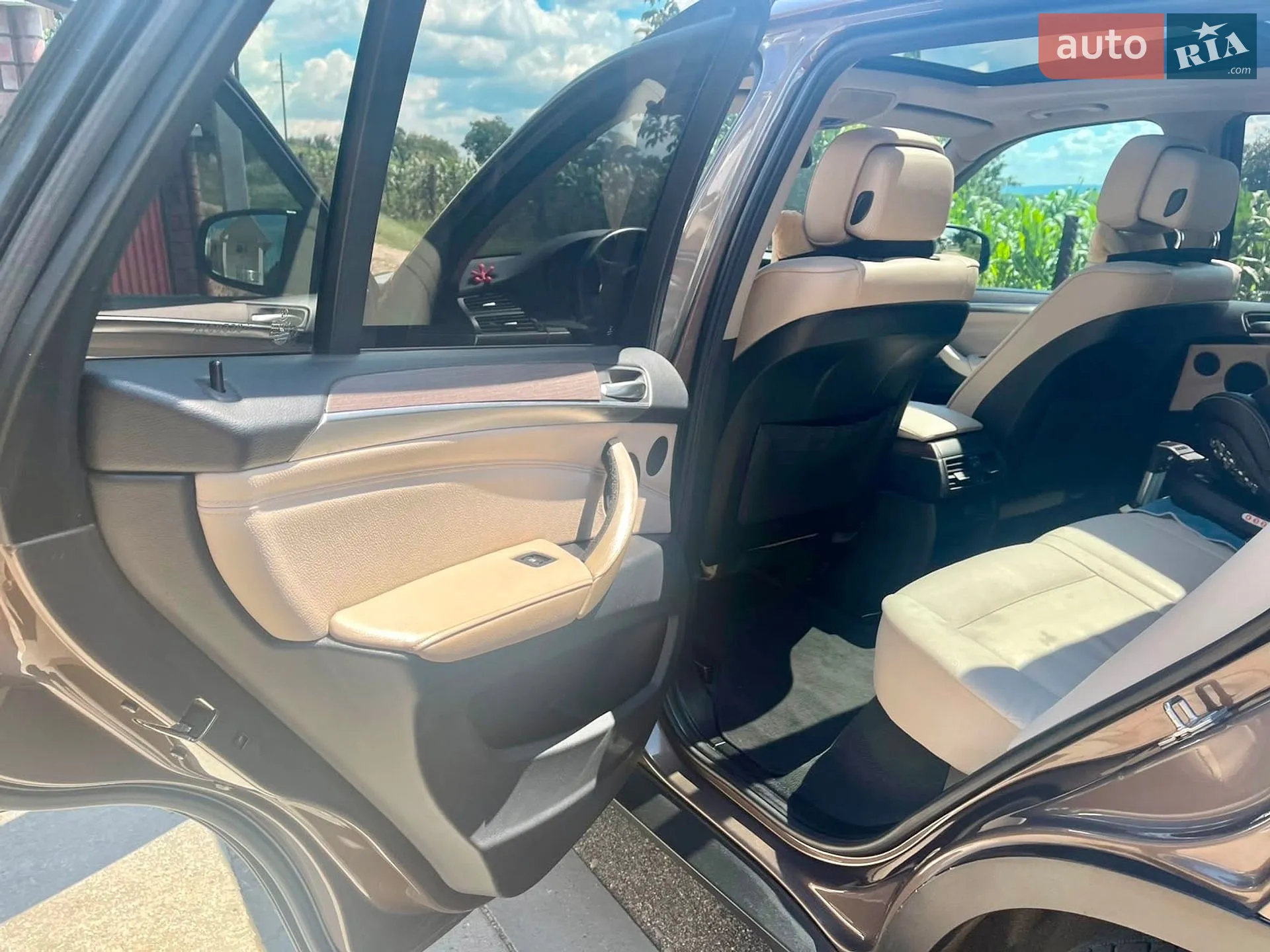 2010 BMW X5 - мініатюра 27