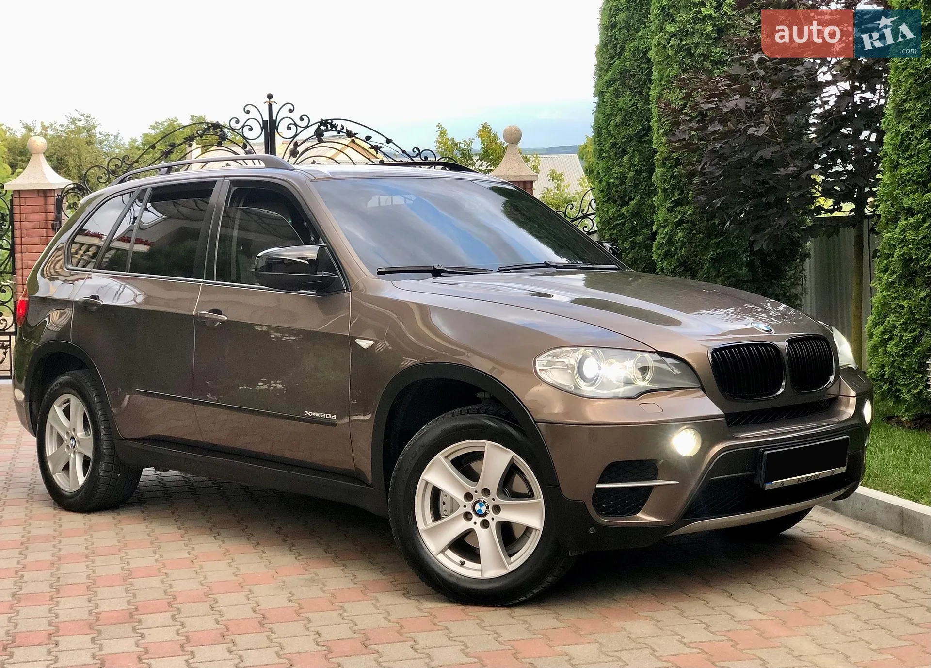 2010 BMW X5 - мініатюра 3