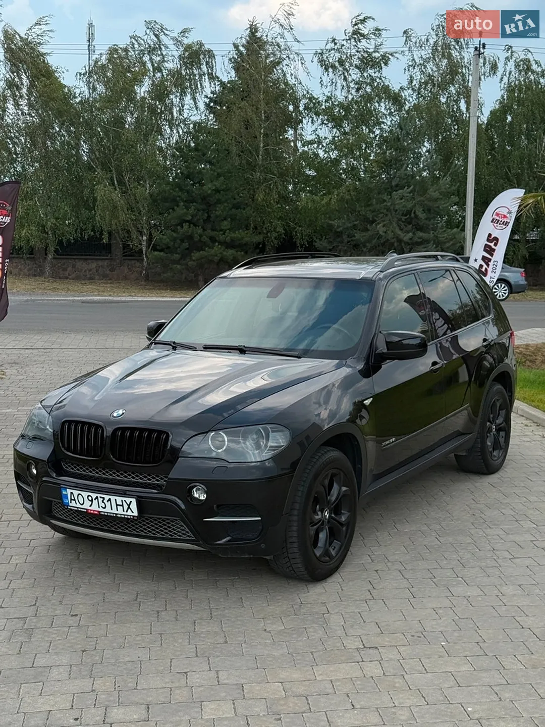2010 BMW X5 - мініатюра 2