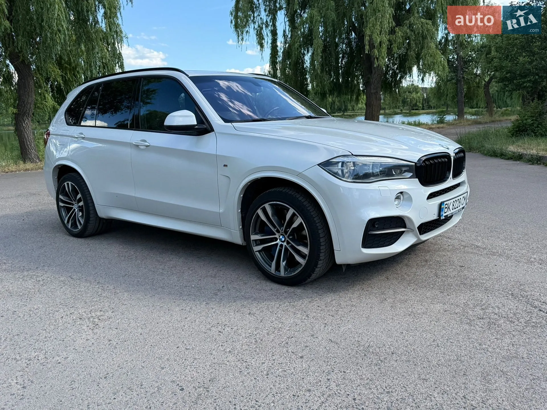 2014 BMW X5 - мініатюра 3