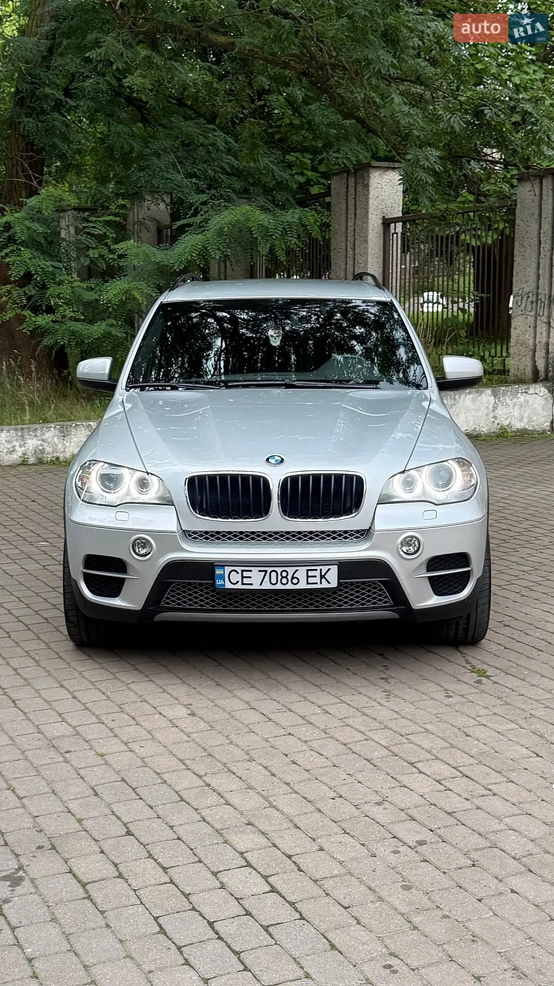 2010 BMW X5 - мініатюра 2