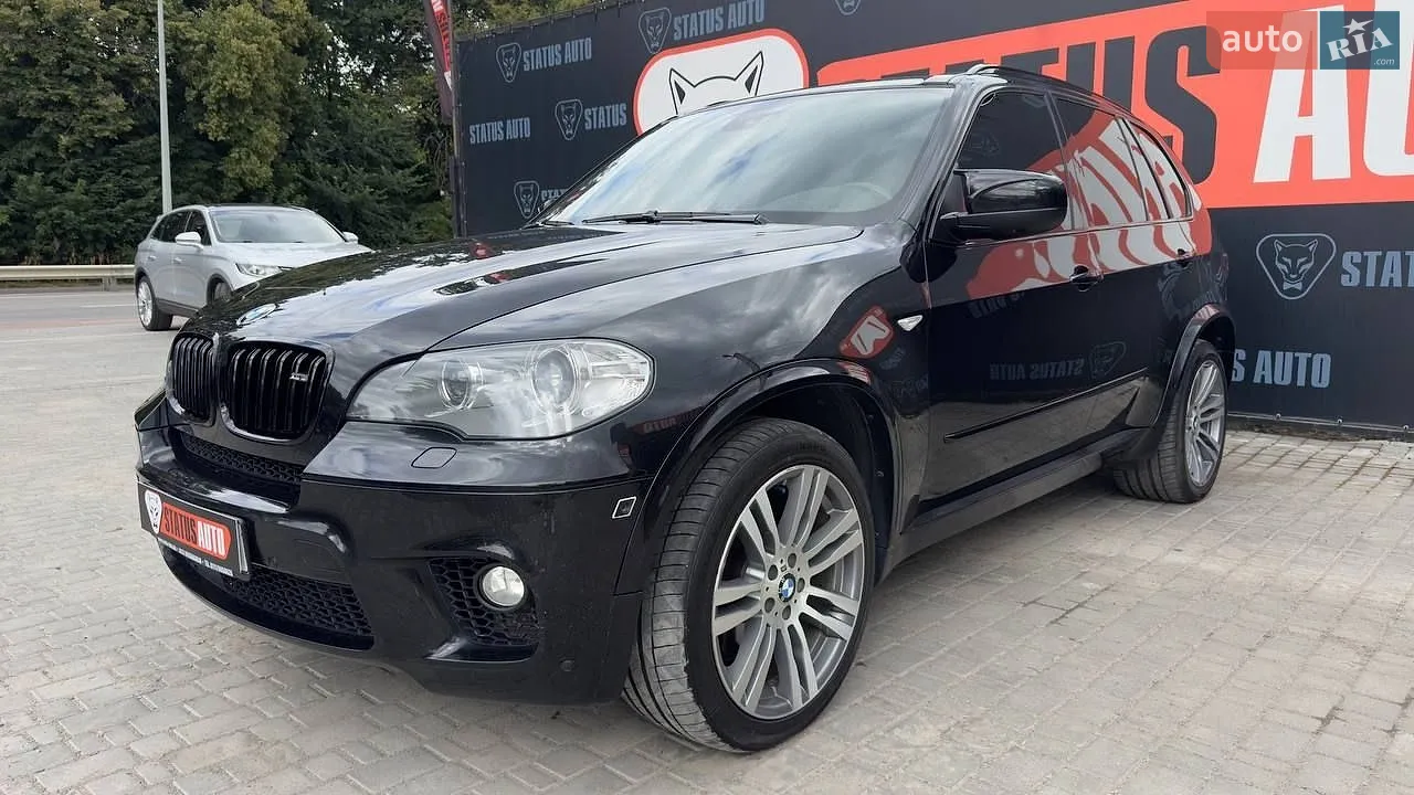 2010 BMW X5 - мініатюра 2