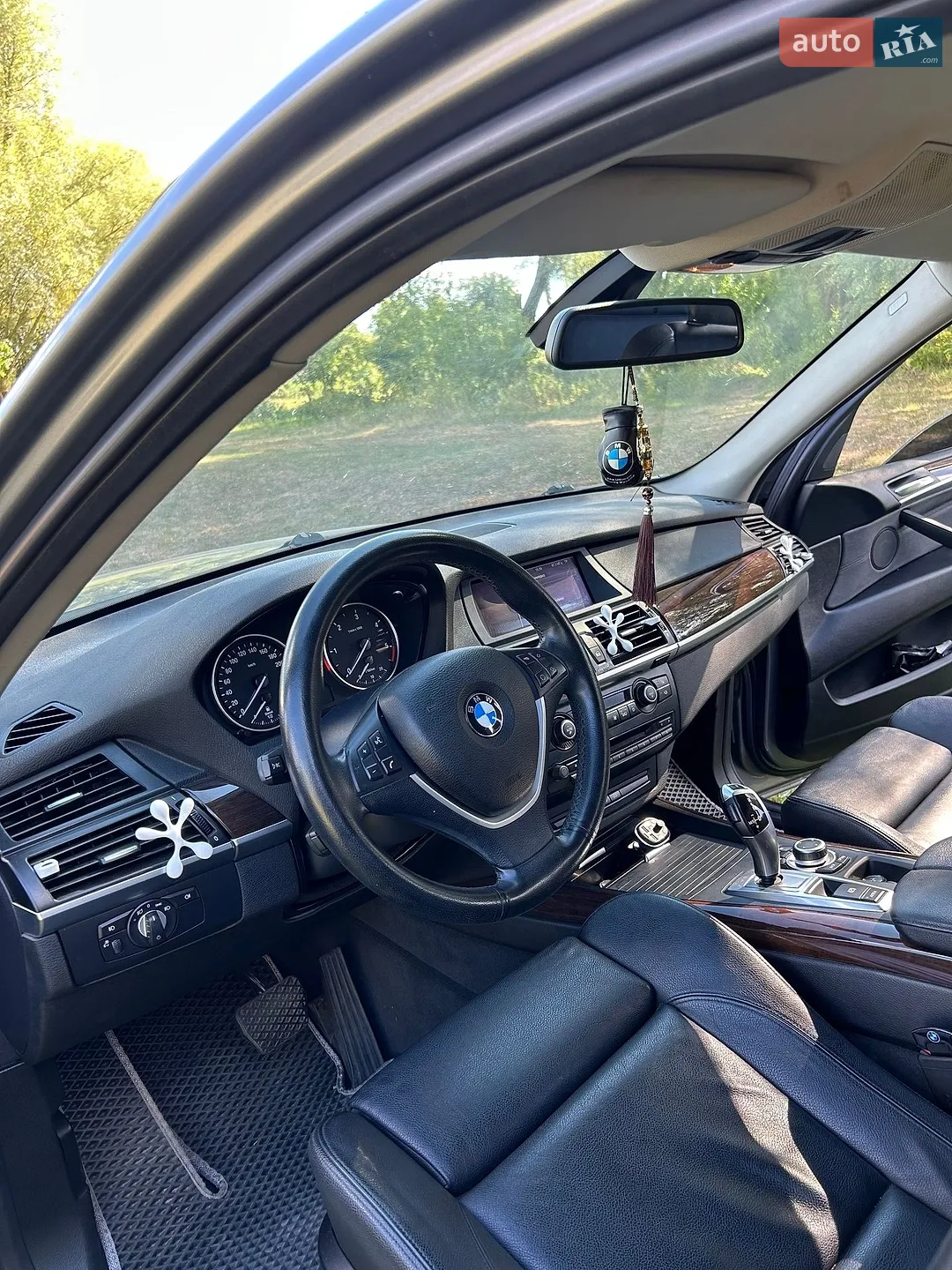 2010 BMW X5 - мініатюра 10