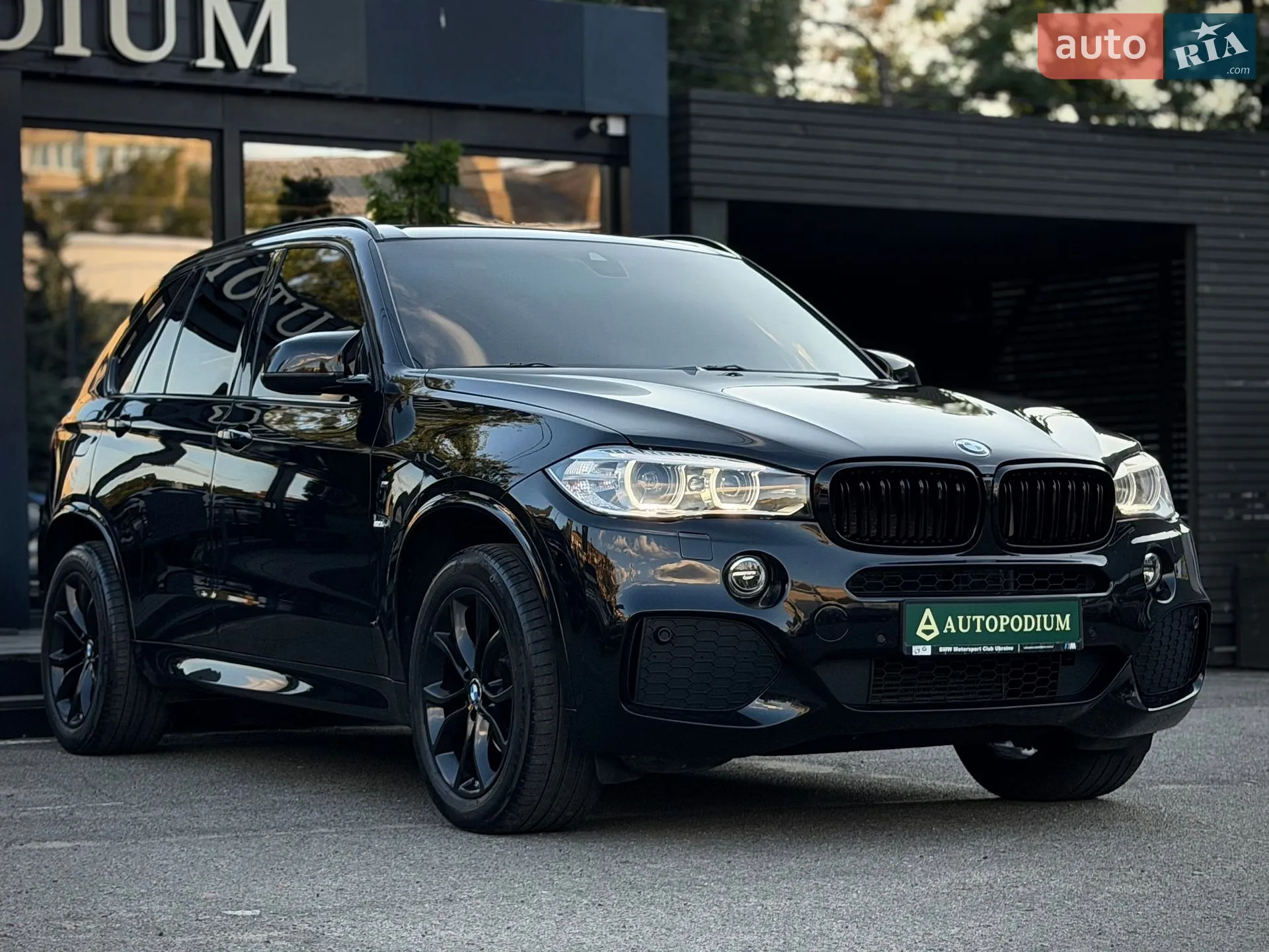 2014 BMW X5 - мініатюра 2
