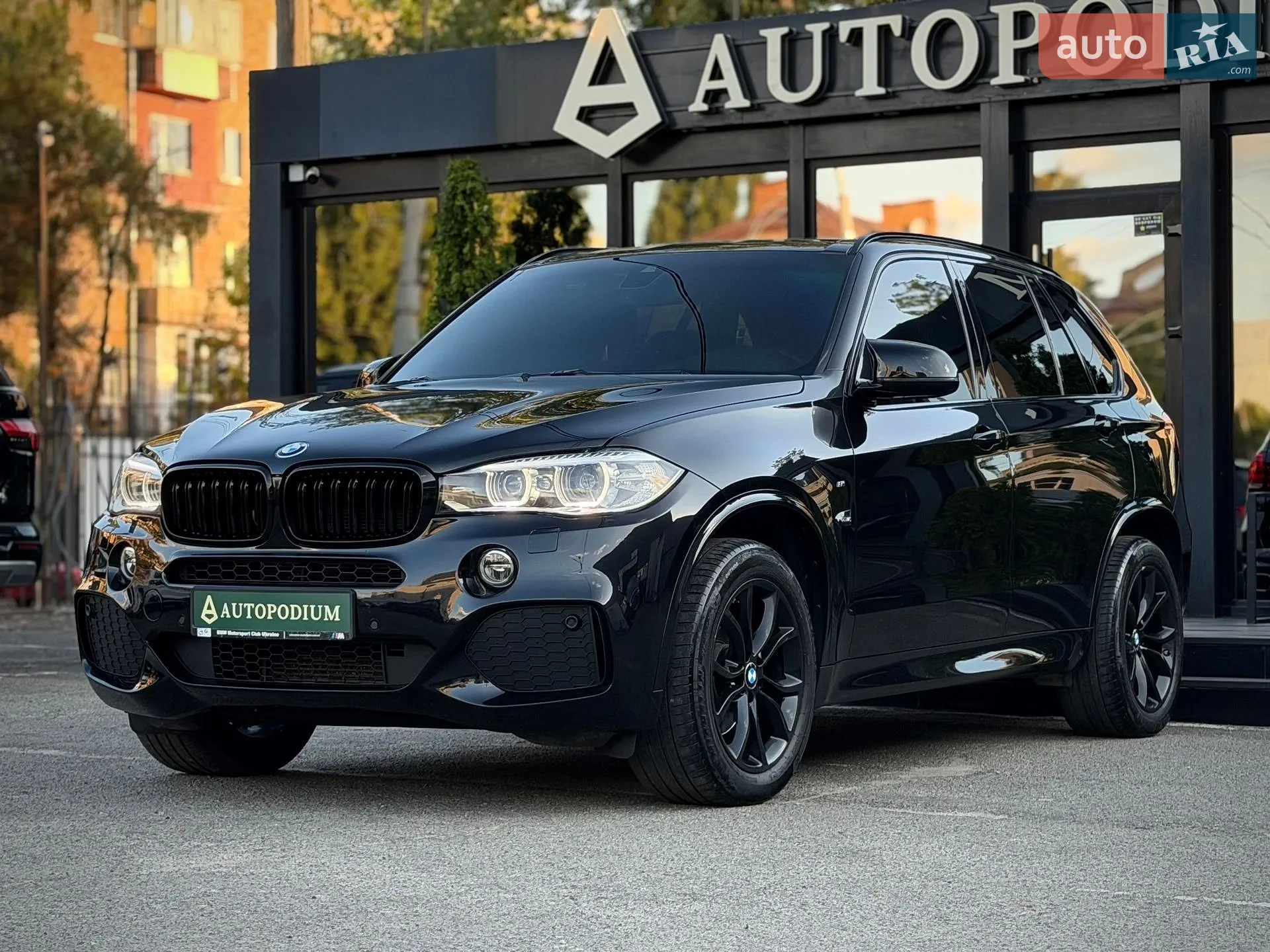 2014 BMW X5 - мініатюра 5