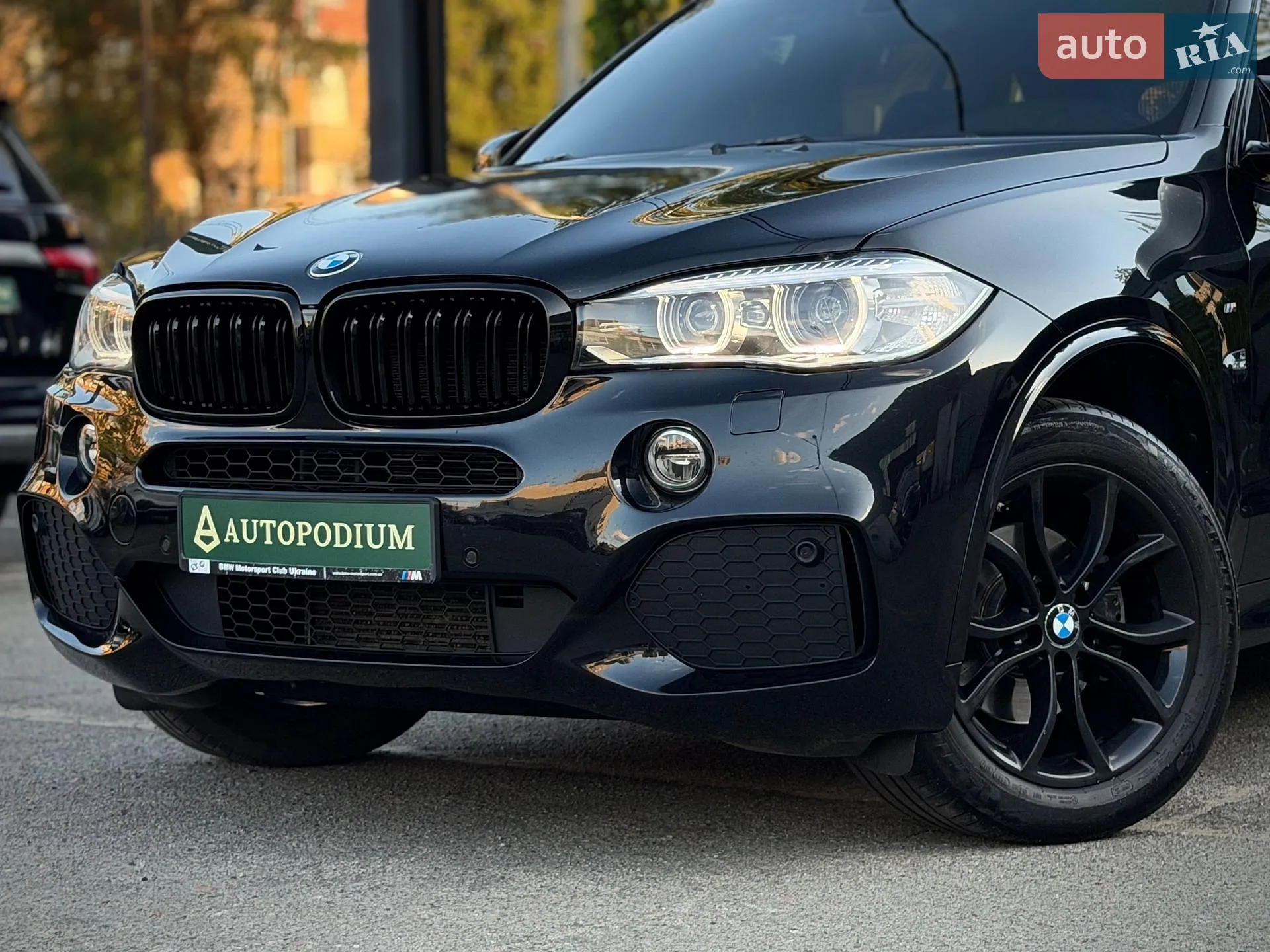 2014 BMW X5 - мініатюра 8