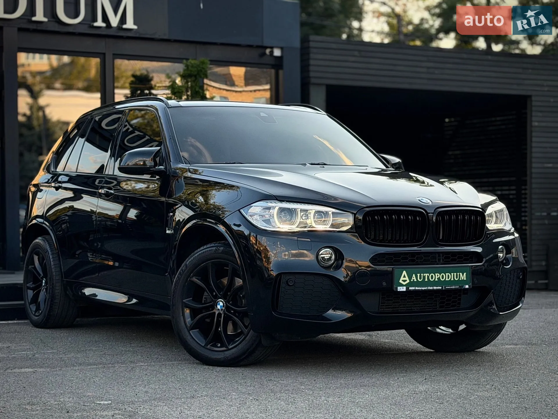 2014 BMW X5 - мініатюра 3