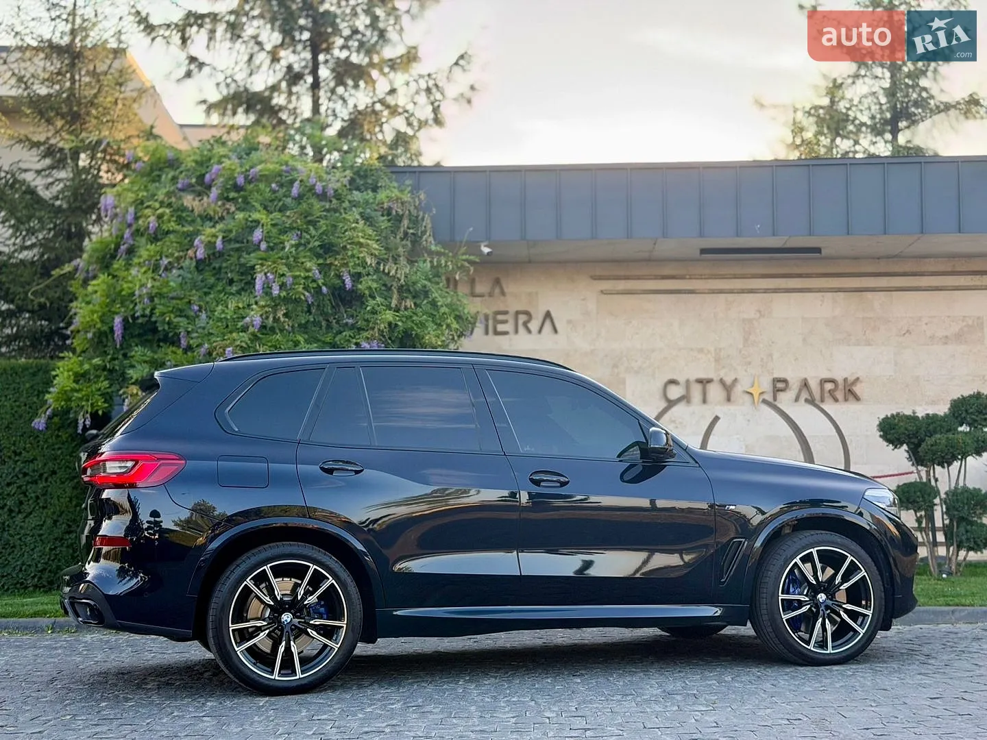 2019 BMW X5 - мініатюра 38
